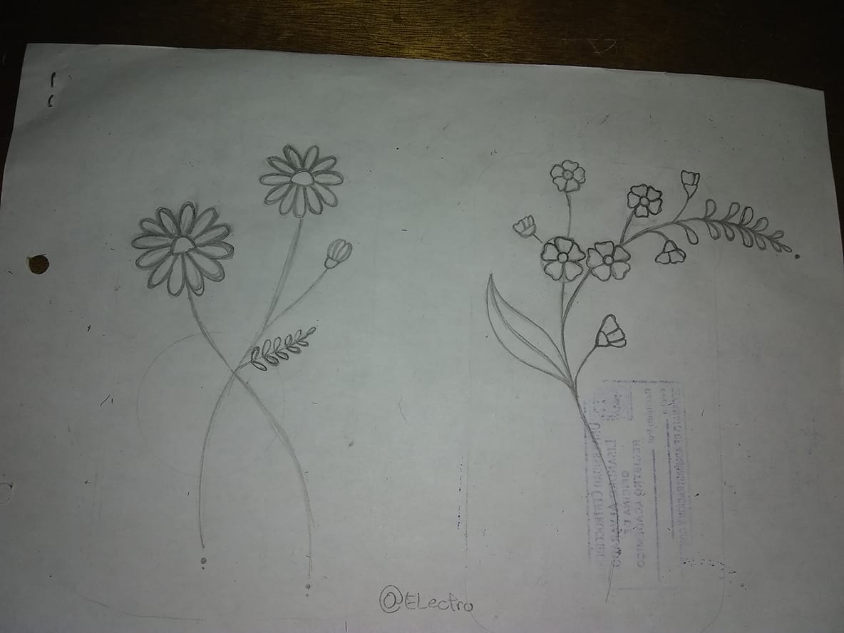 Flowers 1 (2).jpg