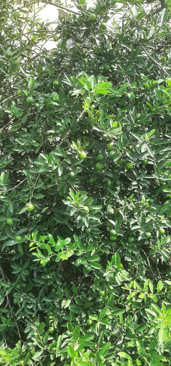 B612_20211008_115351_775.jpg