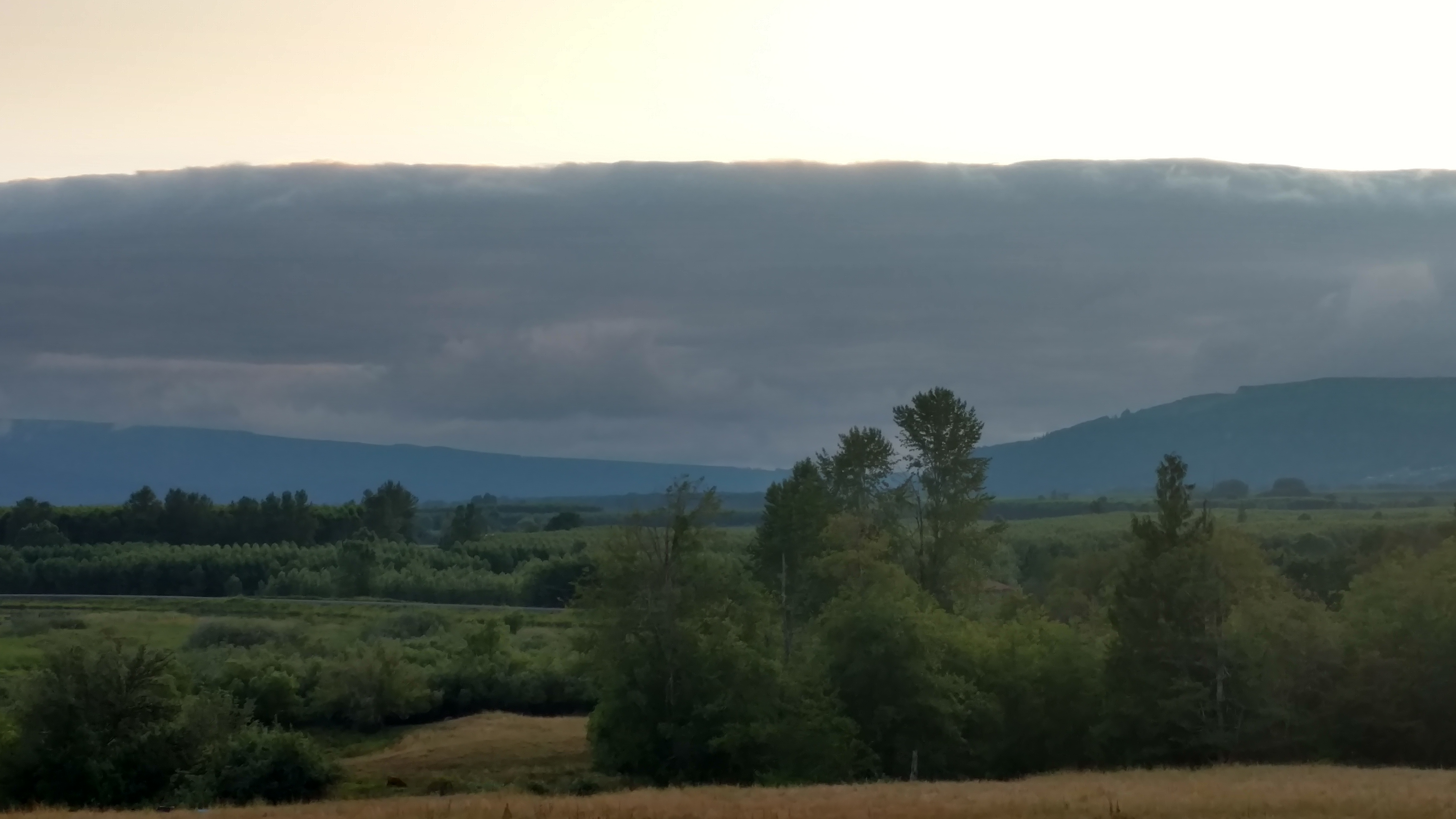 IMG_20190707_201922251_HDR.jpg