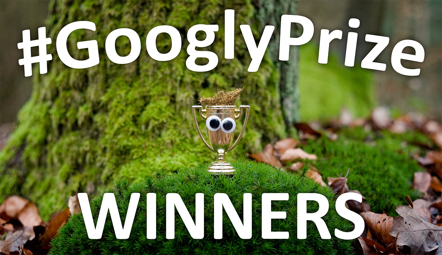 GooglyPrize GooglyEyes TitleImage Vol113