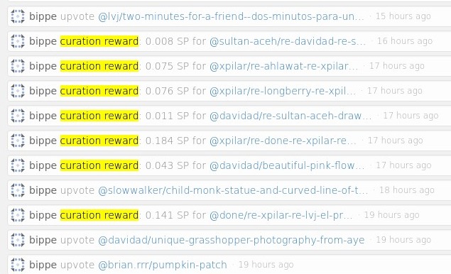 curationrewards.jpg