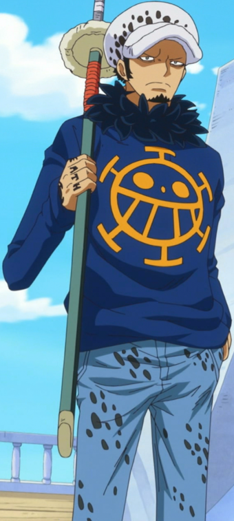 Trafalgar_D._Water_Law_Anime_Post_Timeskip_Infobox.png