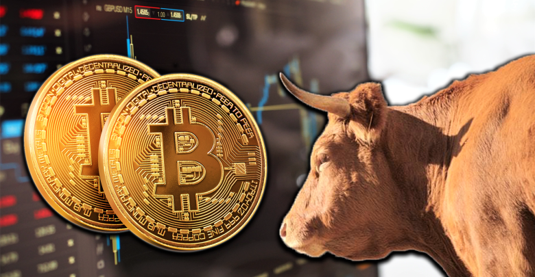 bitcoin bull run.png