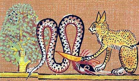 cat and snake.jpg