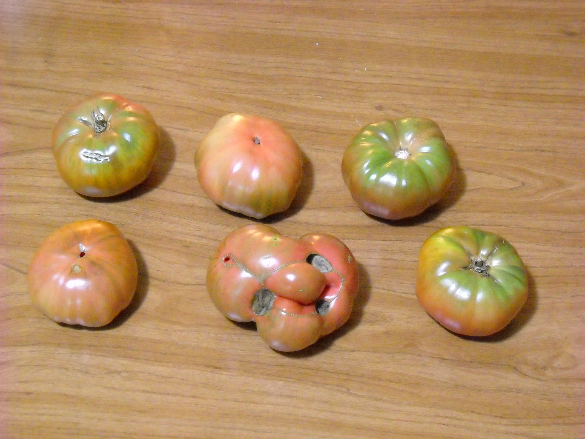 DSCN2137.JPG
