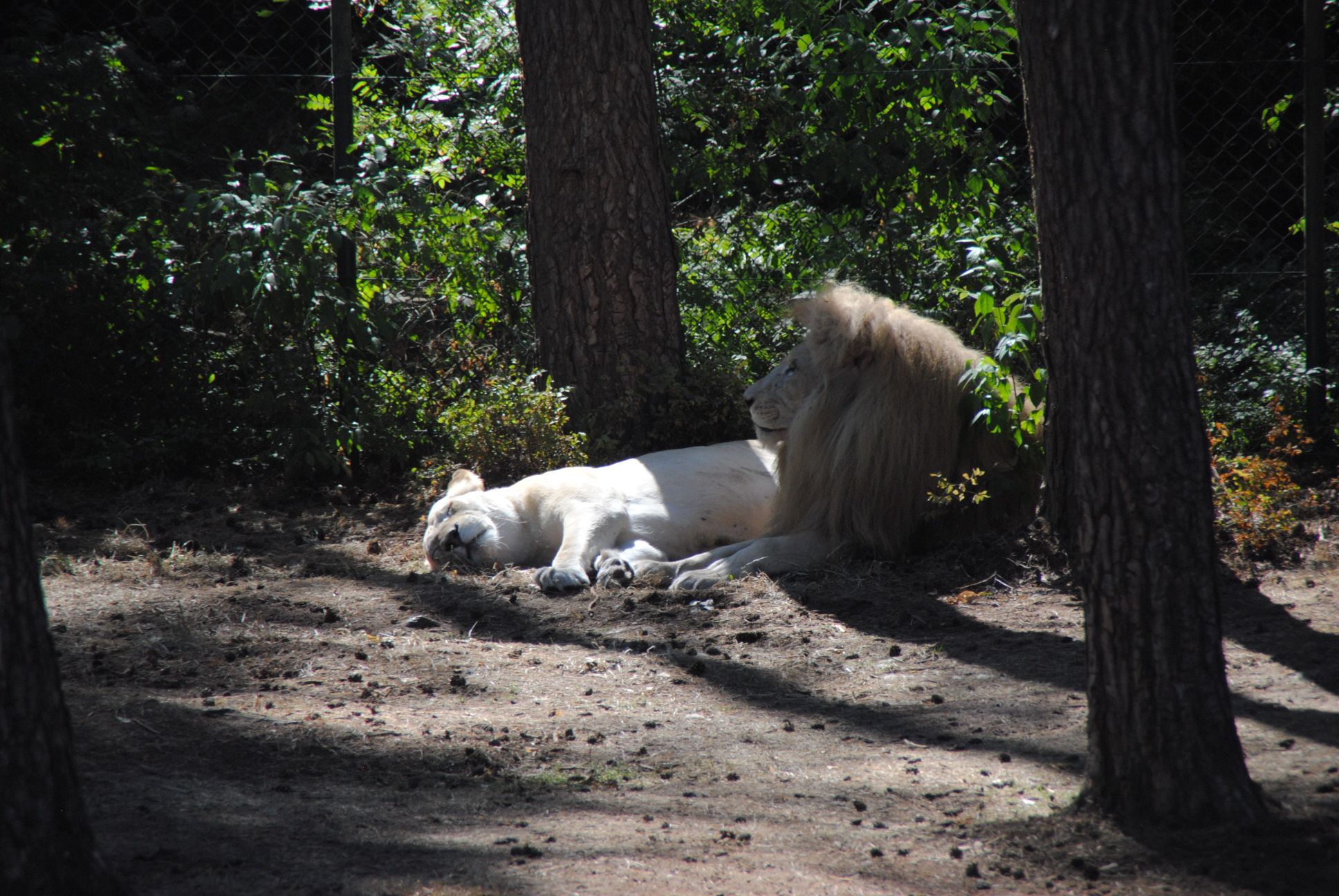 image032.jpg