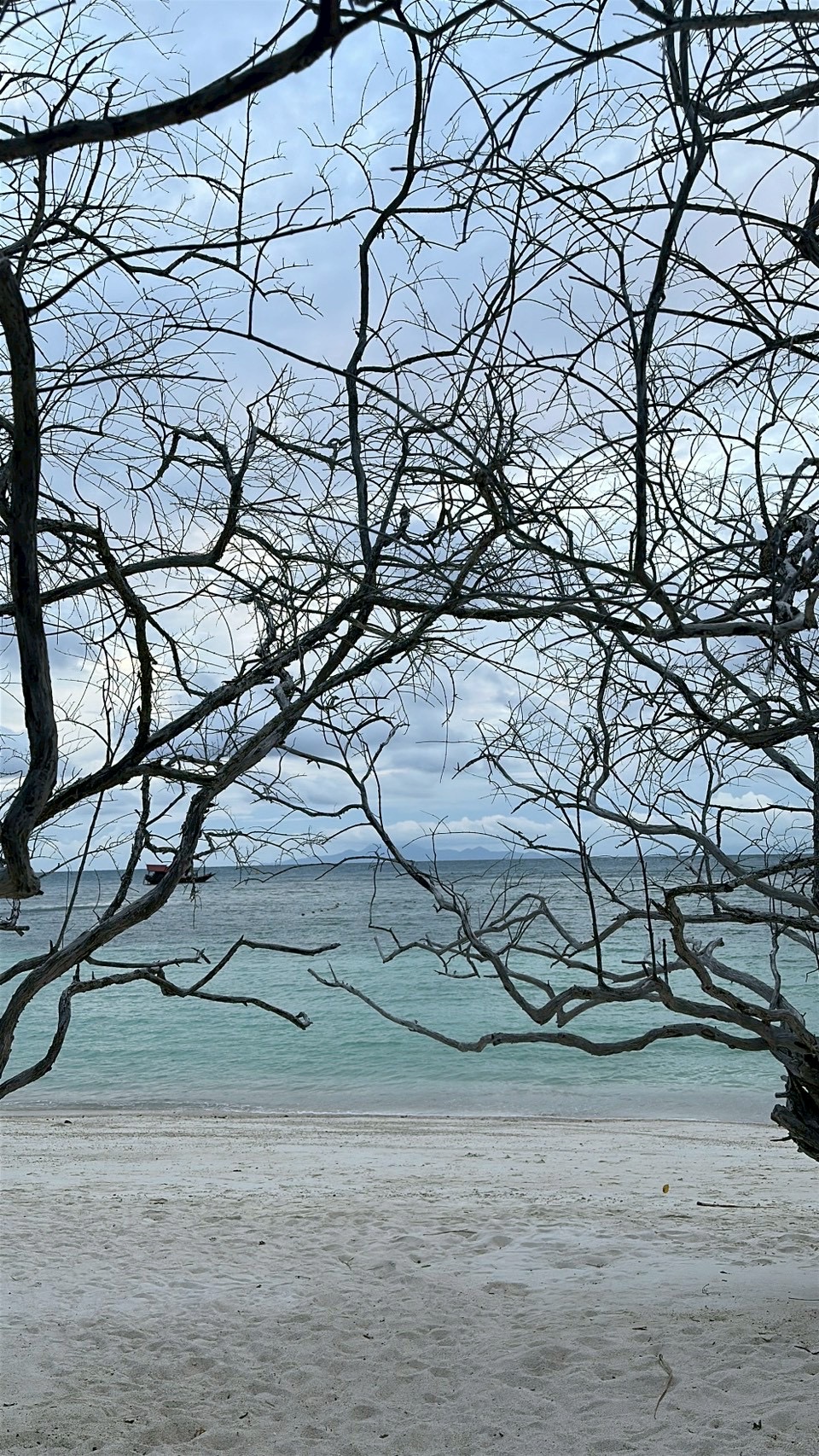 Koh Tao10.jpg