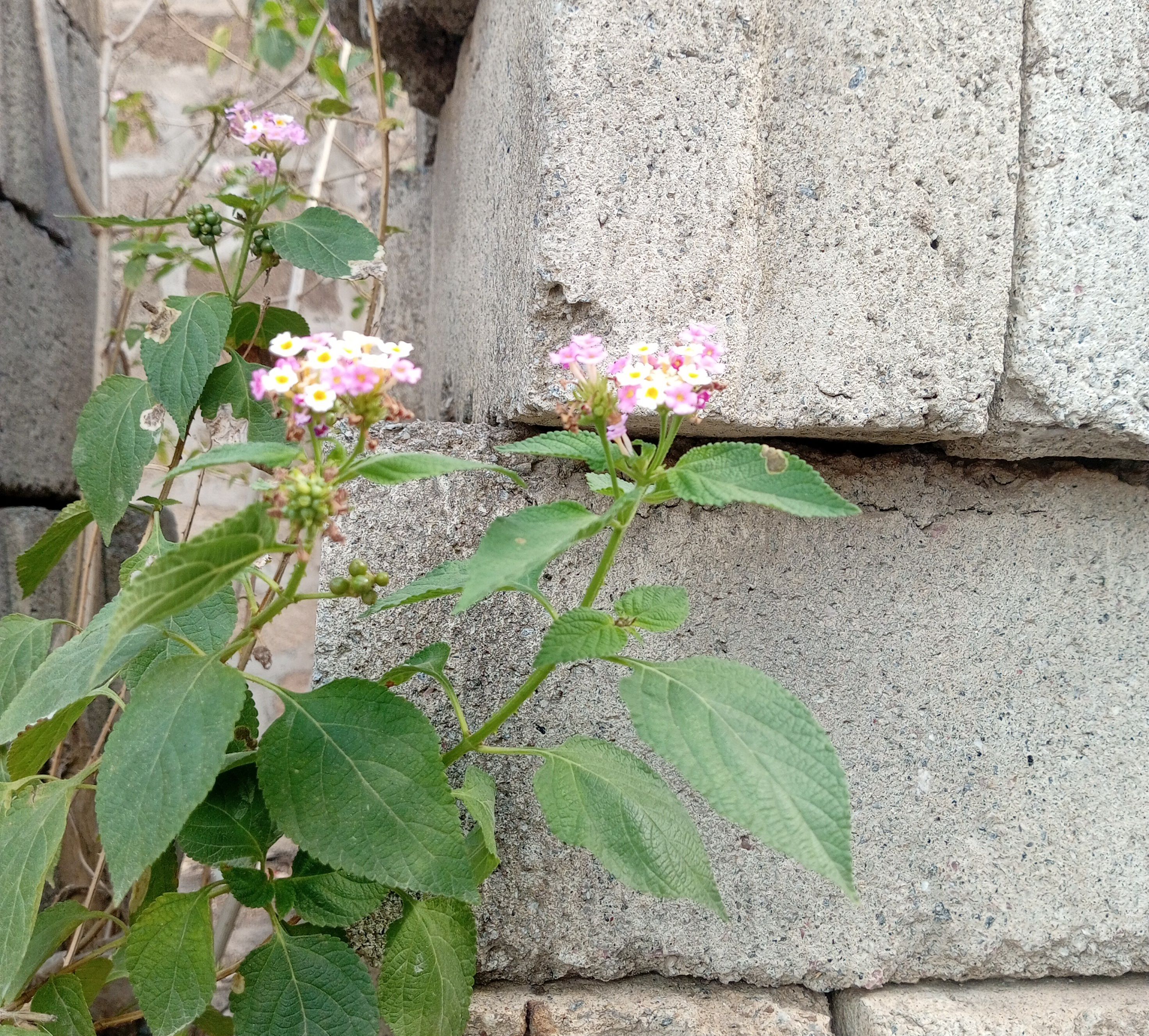 IMG_20260414_082012~3.jpg