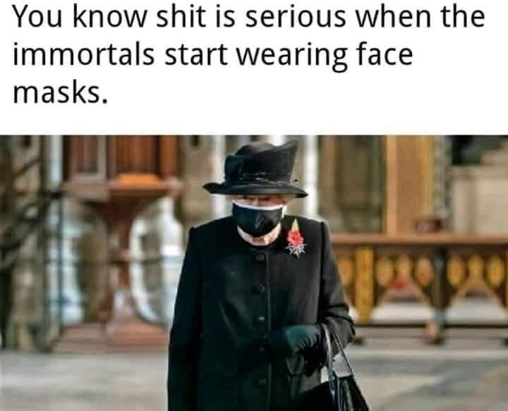 FB_IMG_1605390844279.jpg