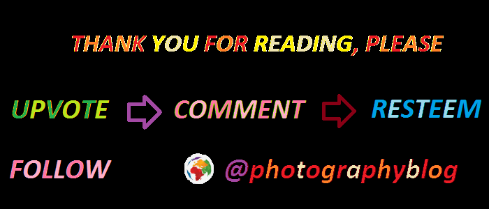 share post steemit photographyblog.png
