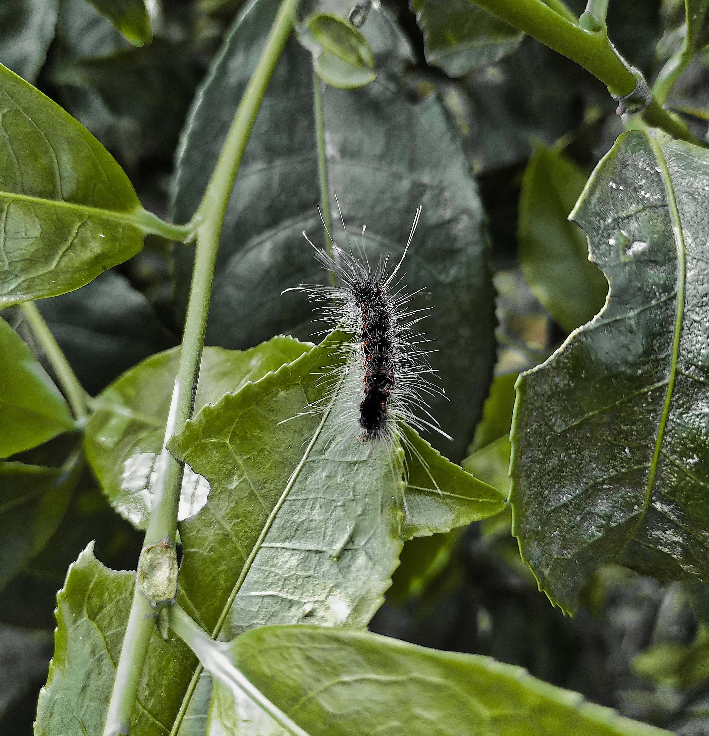 IMG_20210601_163040_polarr.jpg