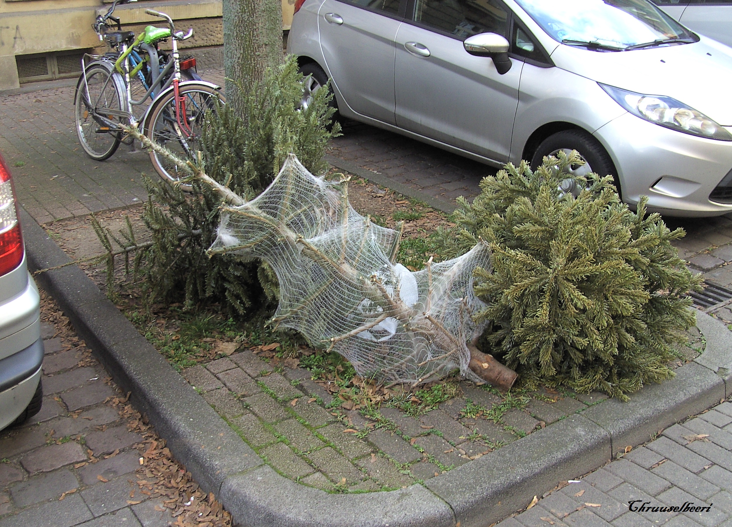 Weihnachtsbaum_05.jpg
