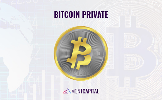 MontCapital_PostLinkedin_03.05.19.jpg