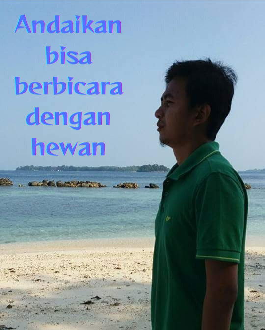 IMG_20240529_181941.png