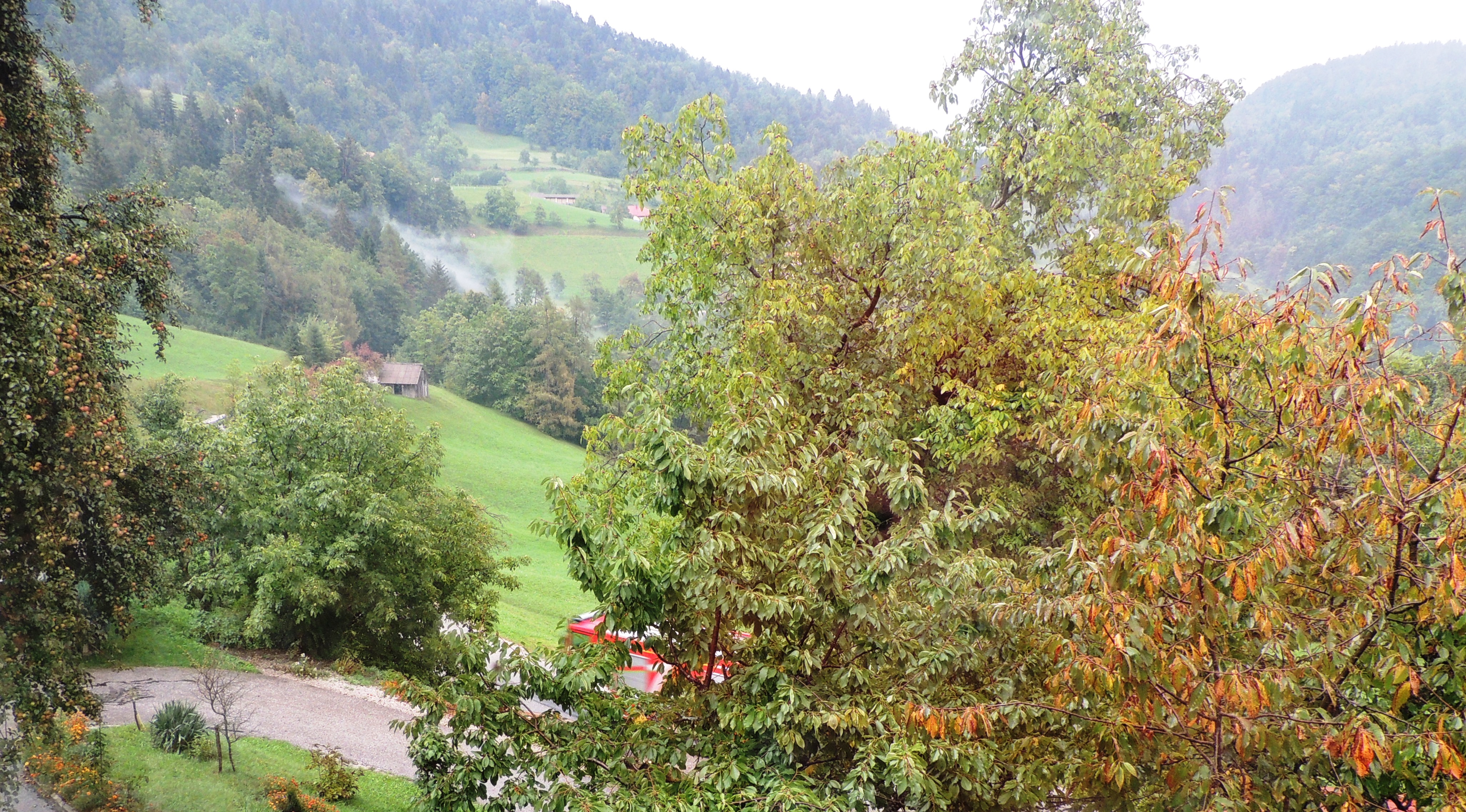 DSCN4390.JPG