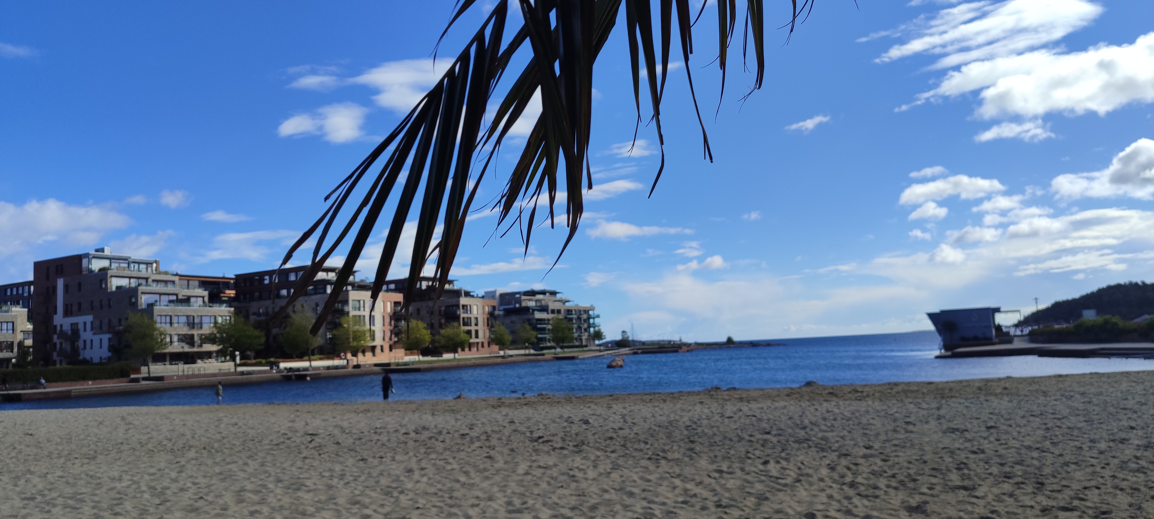 1000037123.jpg