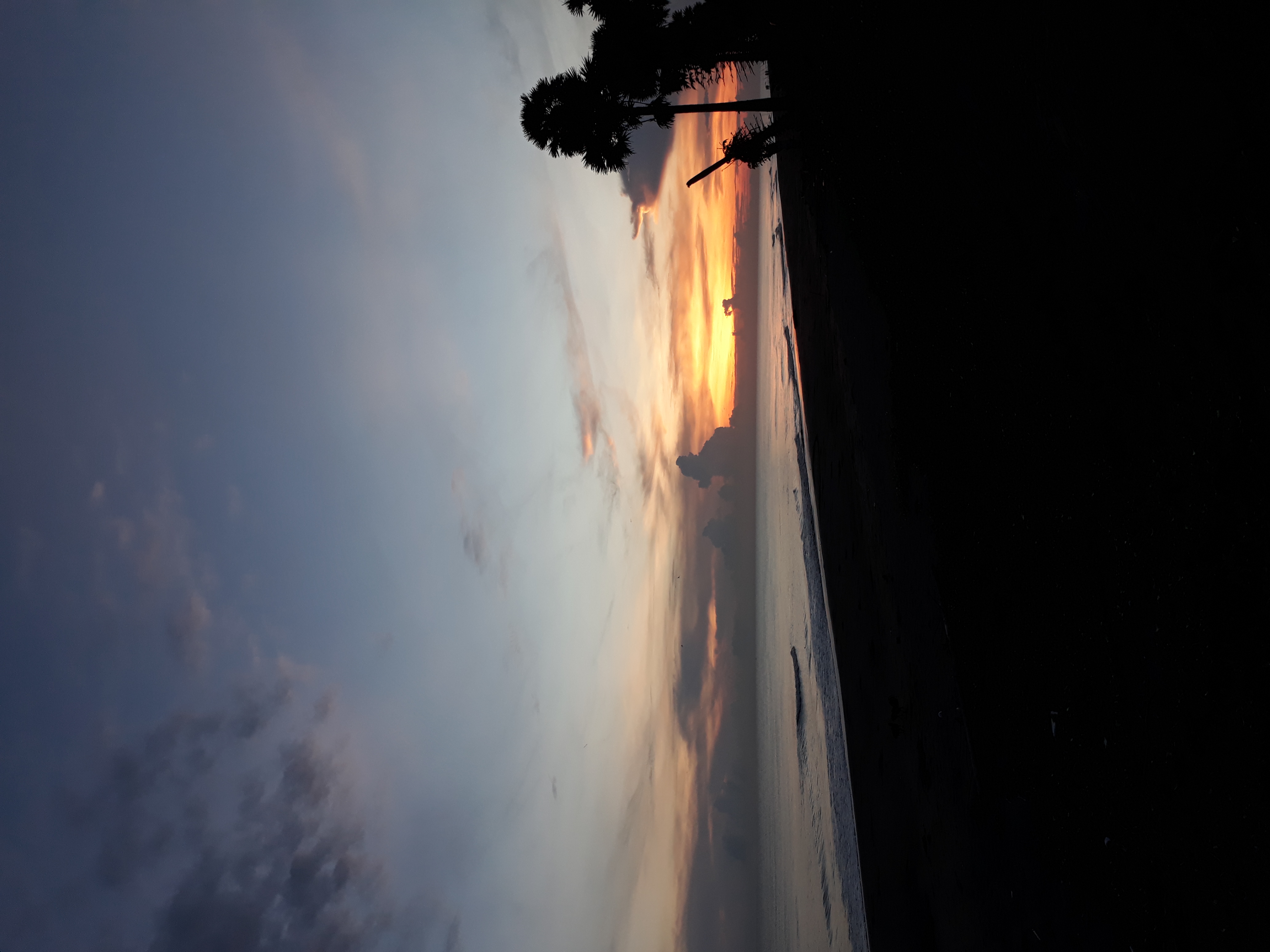 20190603_061321.jpg