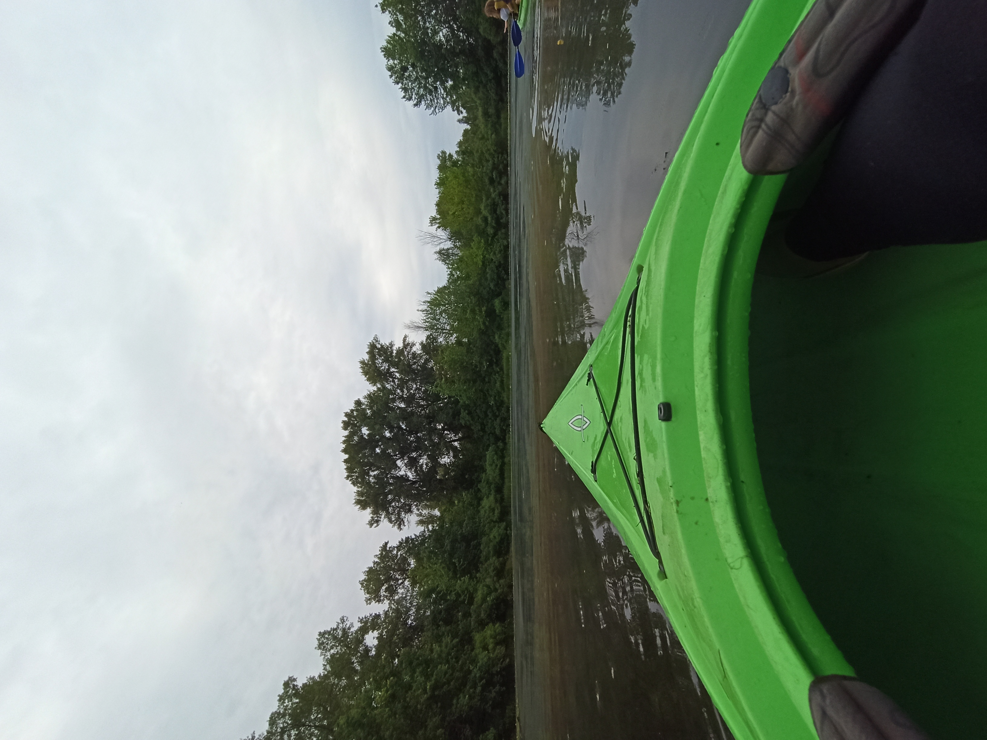 IMG_20200620_125054.jpg