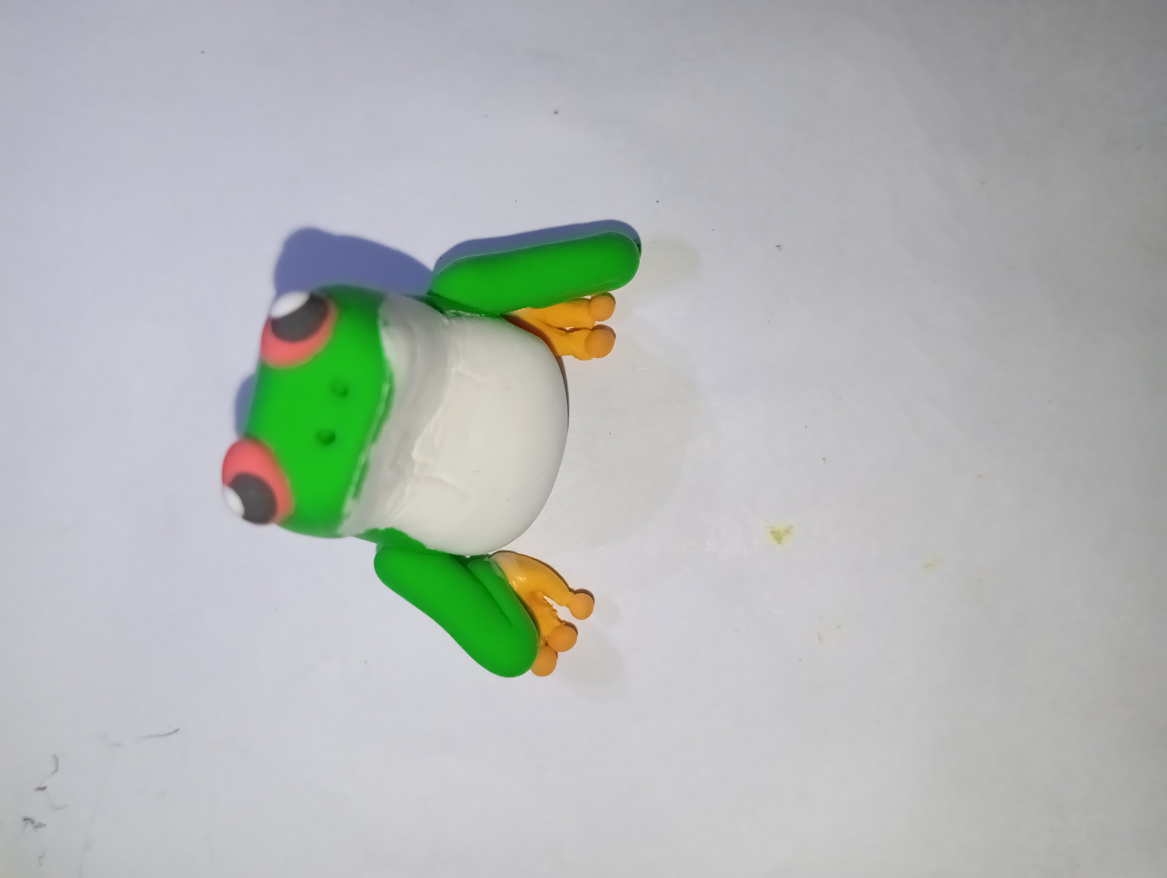 1000063491.jpg