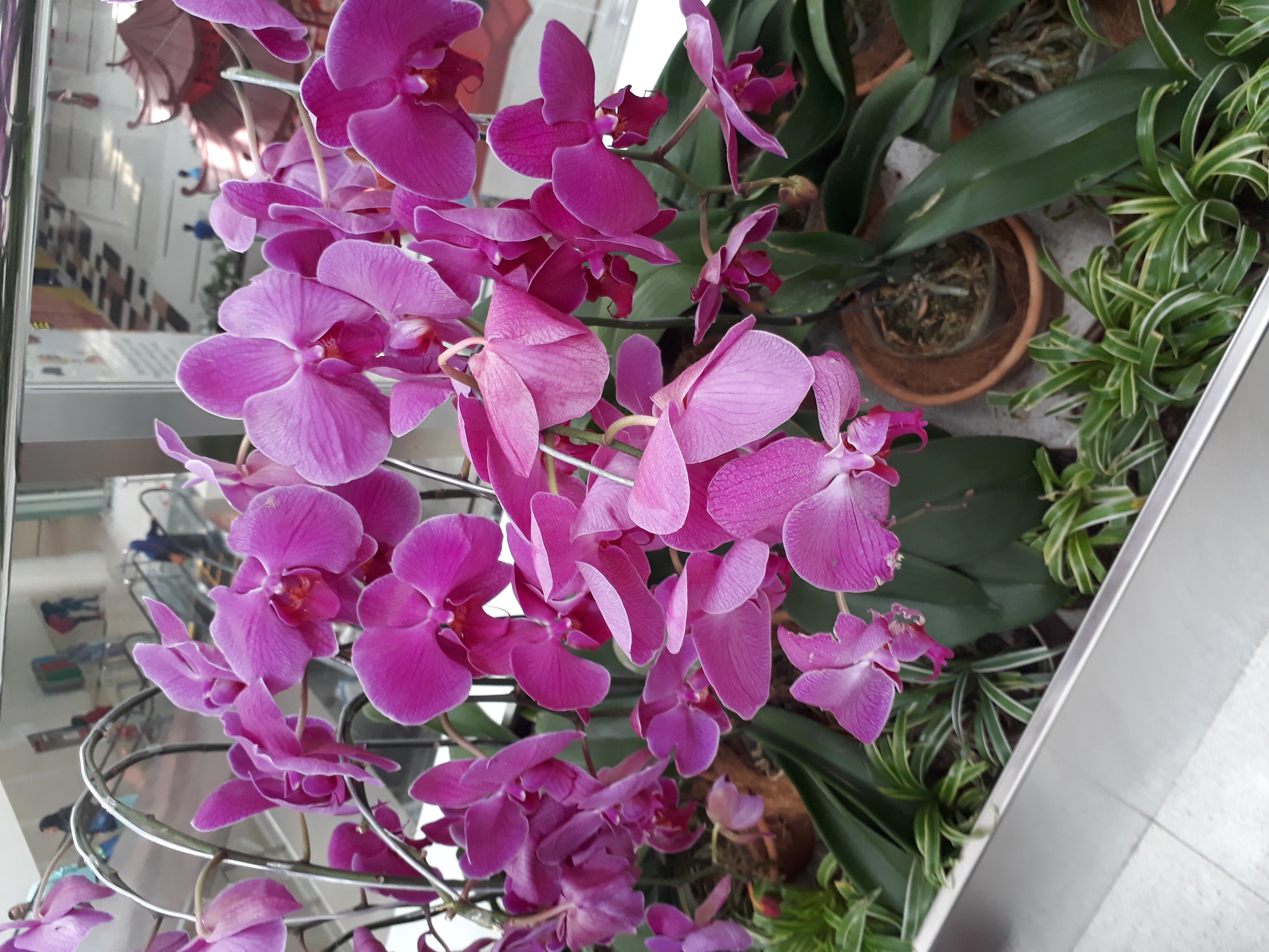 20180214_110836.jpg