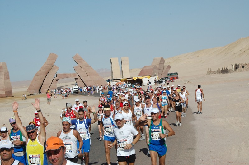 877338cafca19be9_800.jpg