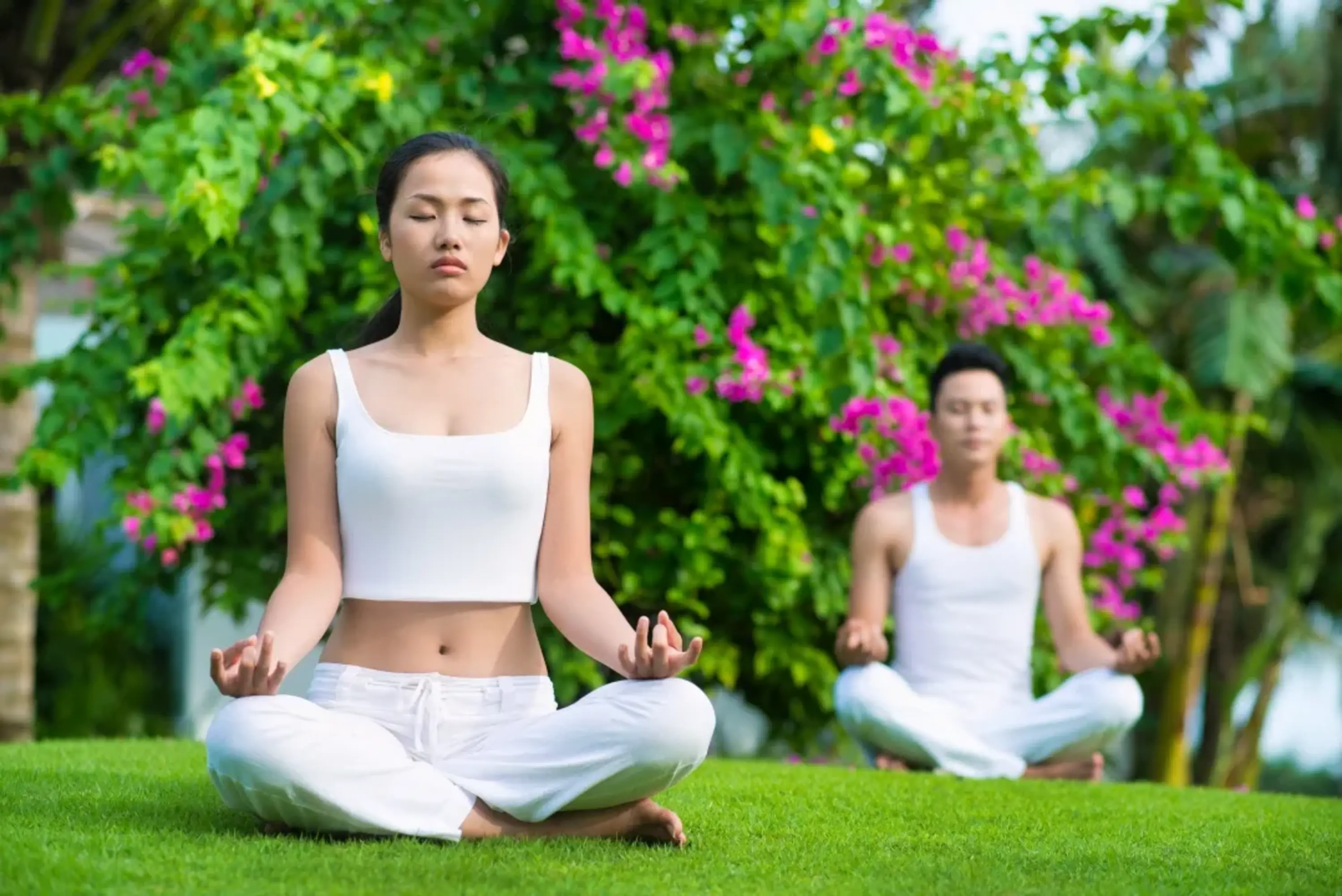 meditation (1).webp