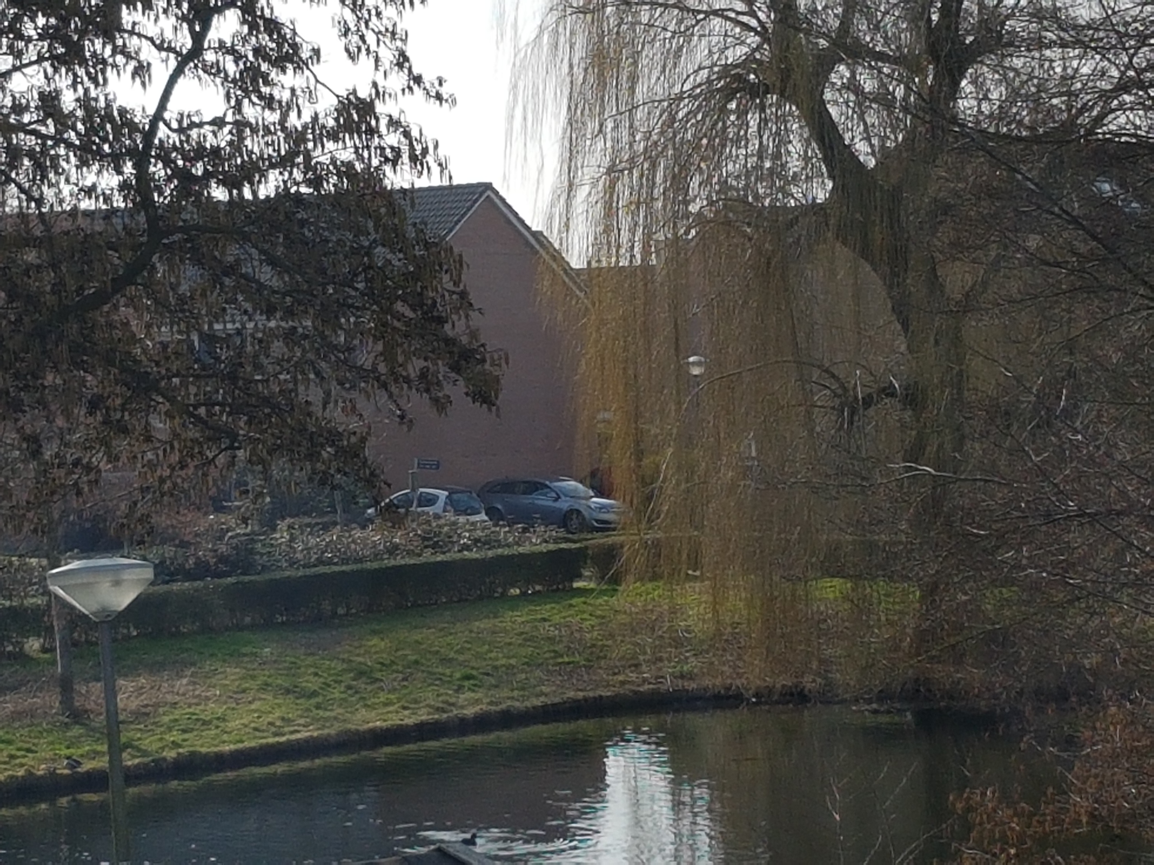 20190216_134404.jpg