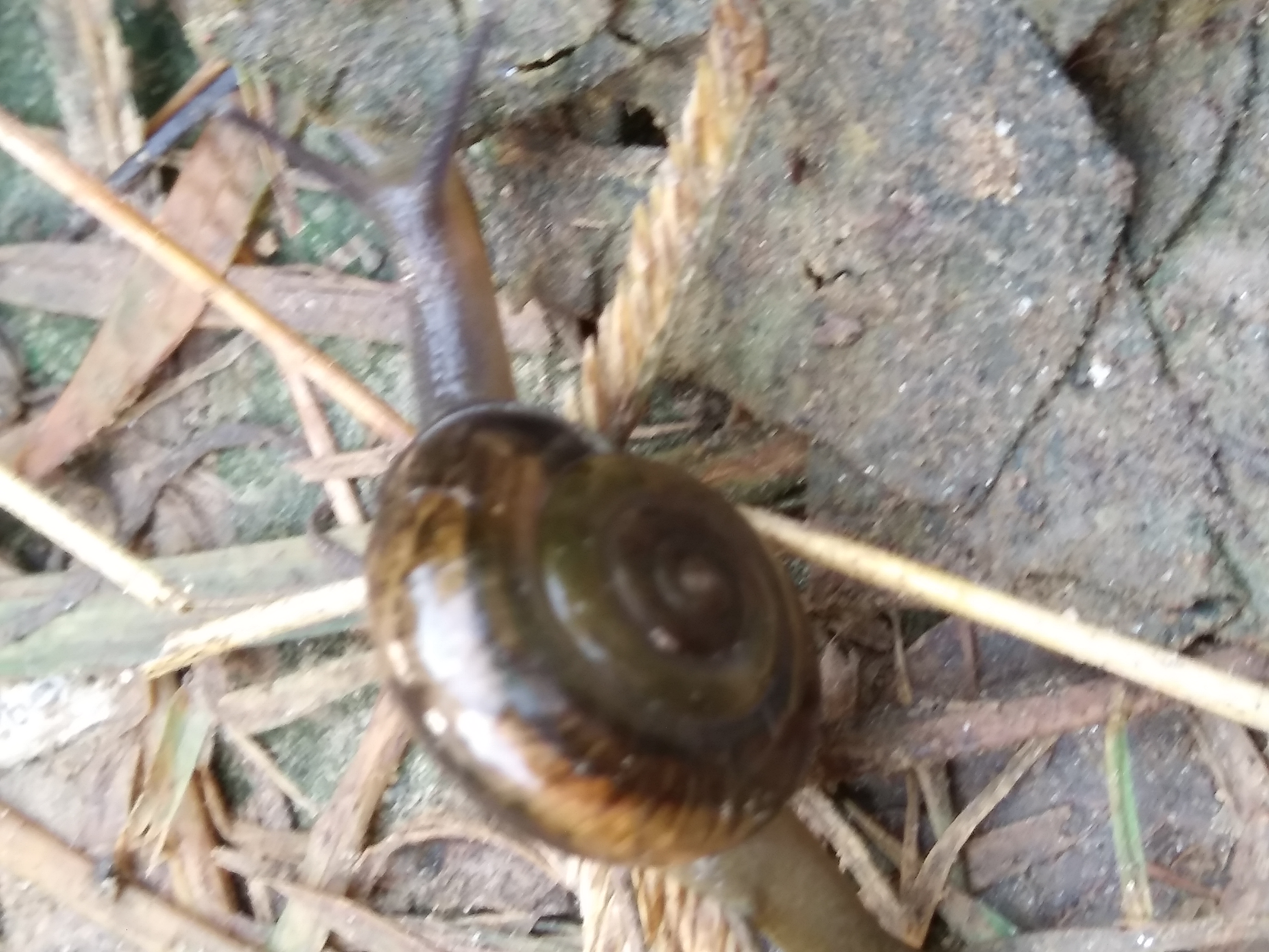 20181019_081646.jpg