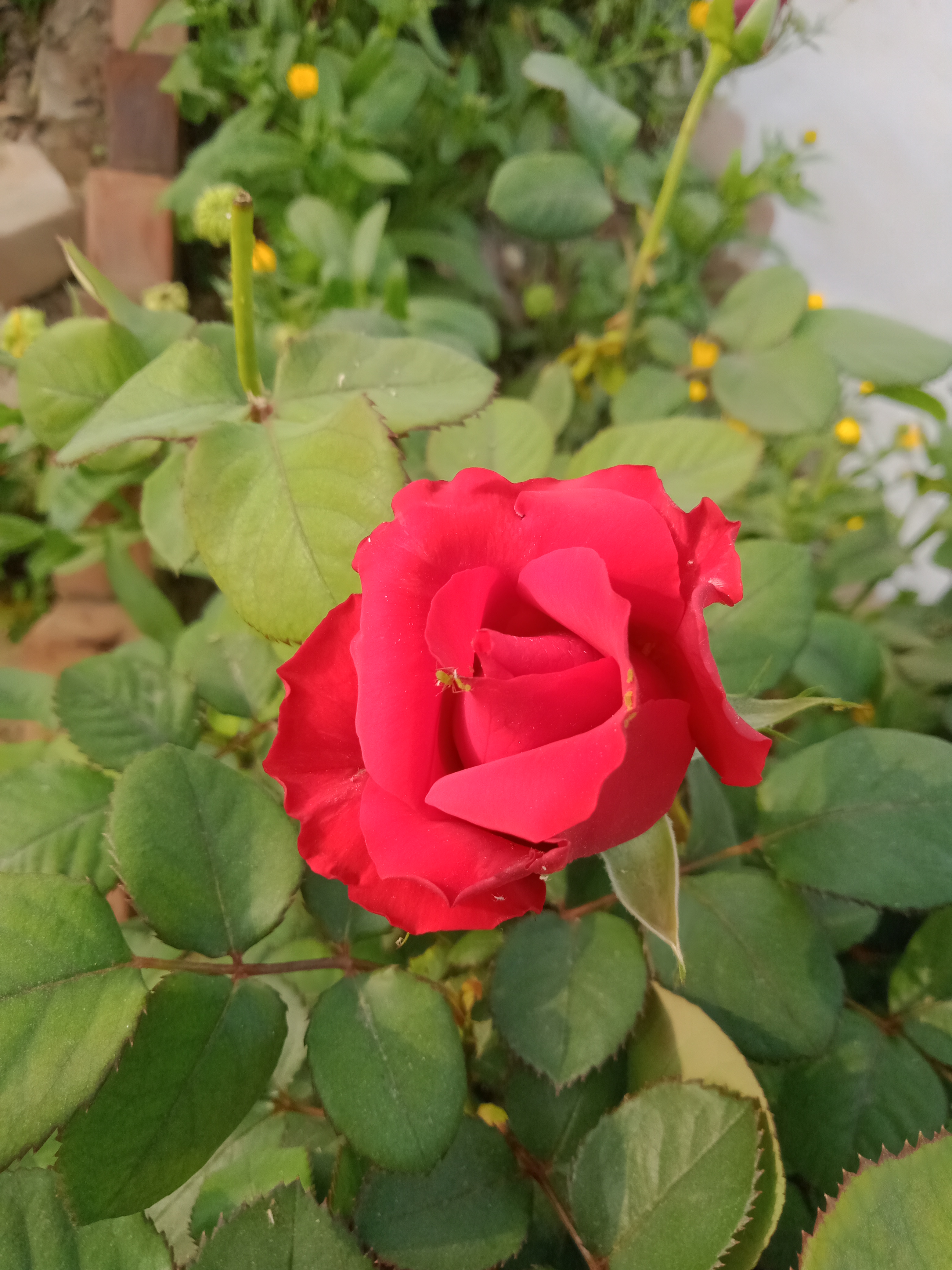 IMG20220320080355.jpg