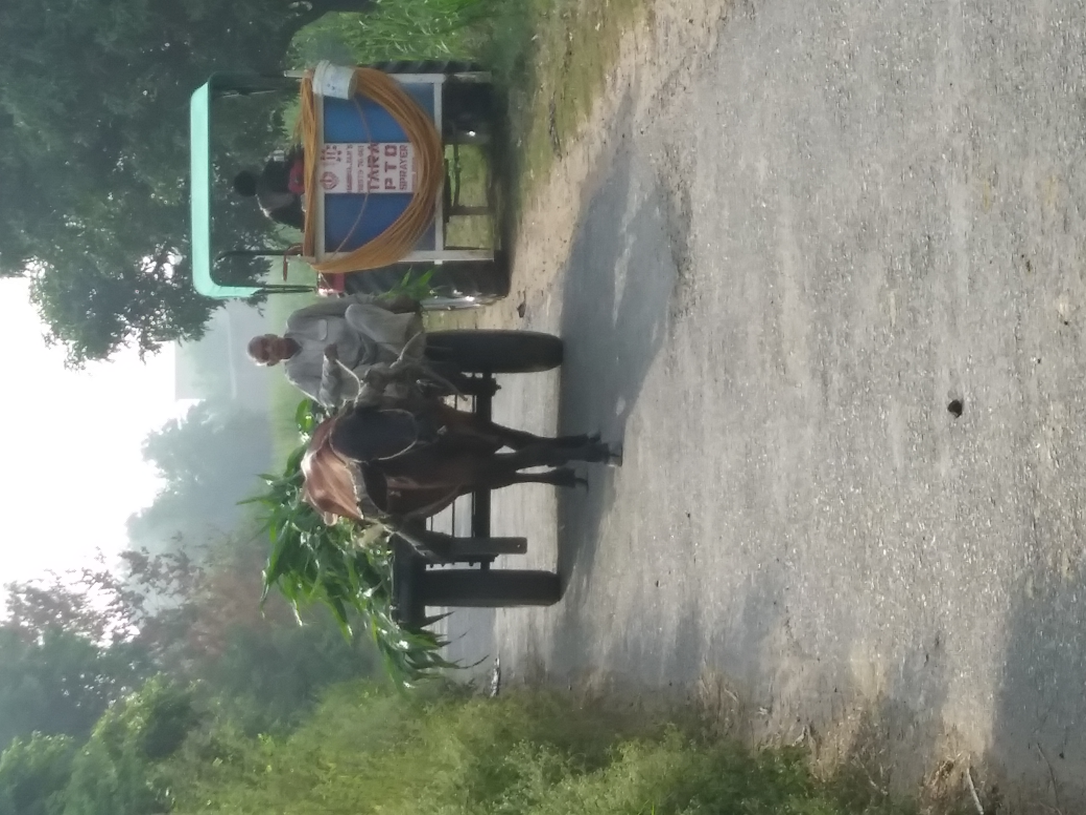 20190630_074503.jpg