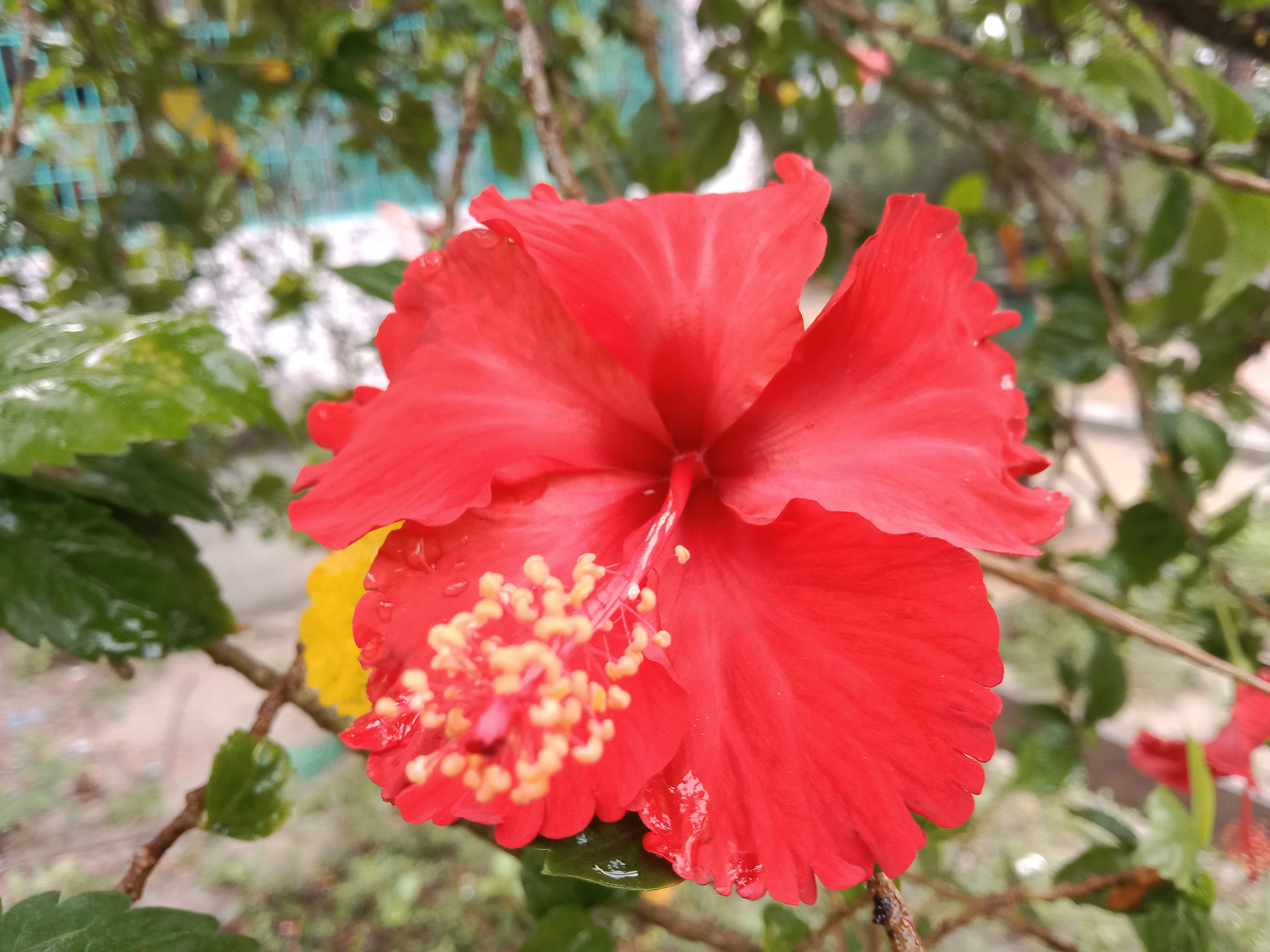 IMG_20260415_065007.jpg