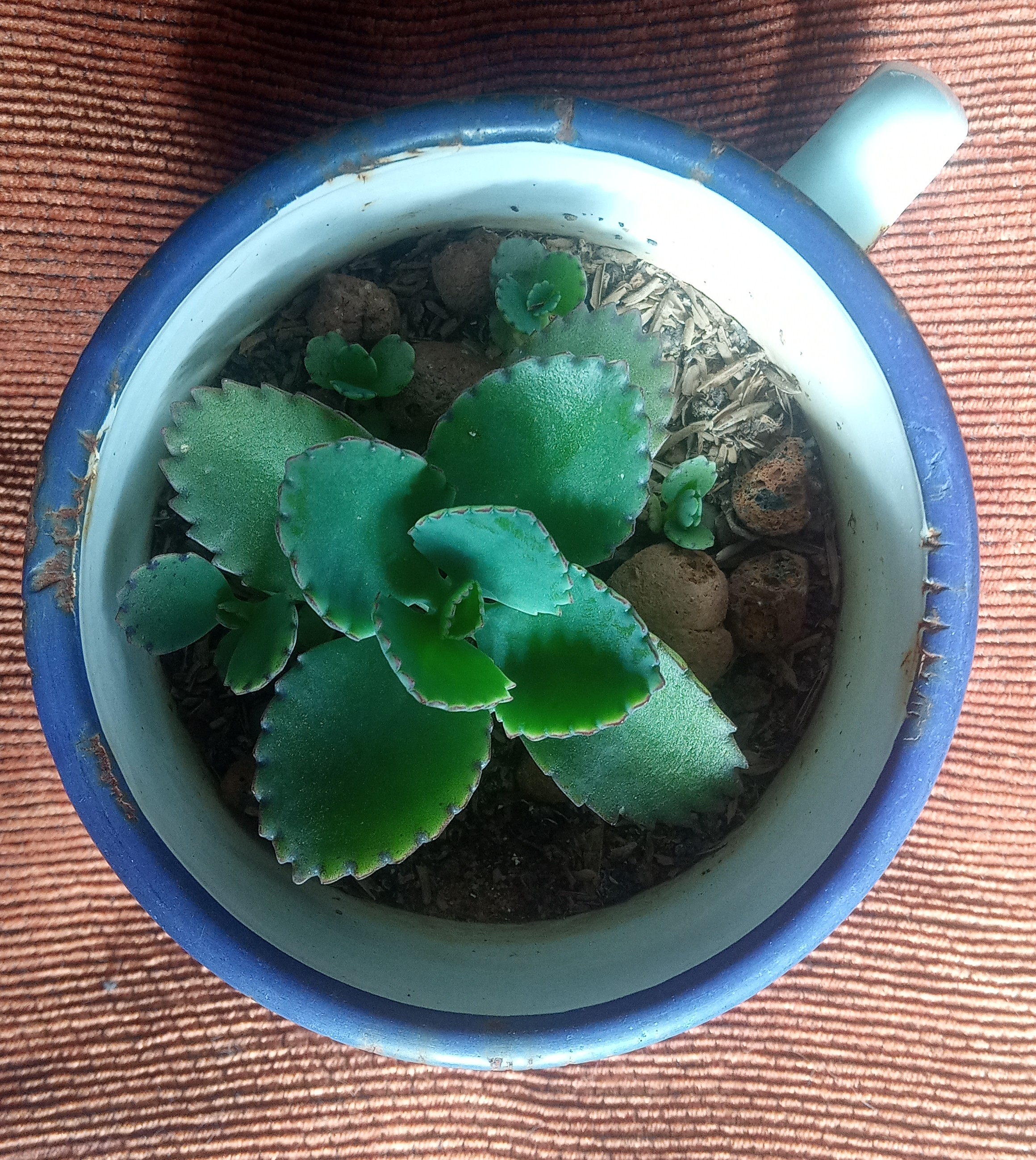 20201231_100013~2.jpg
