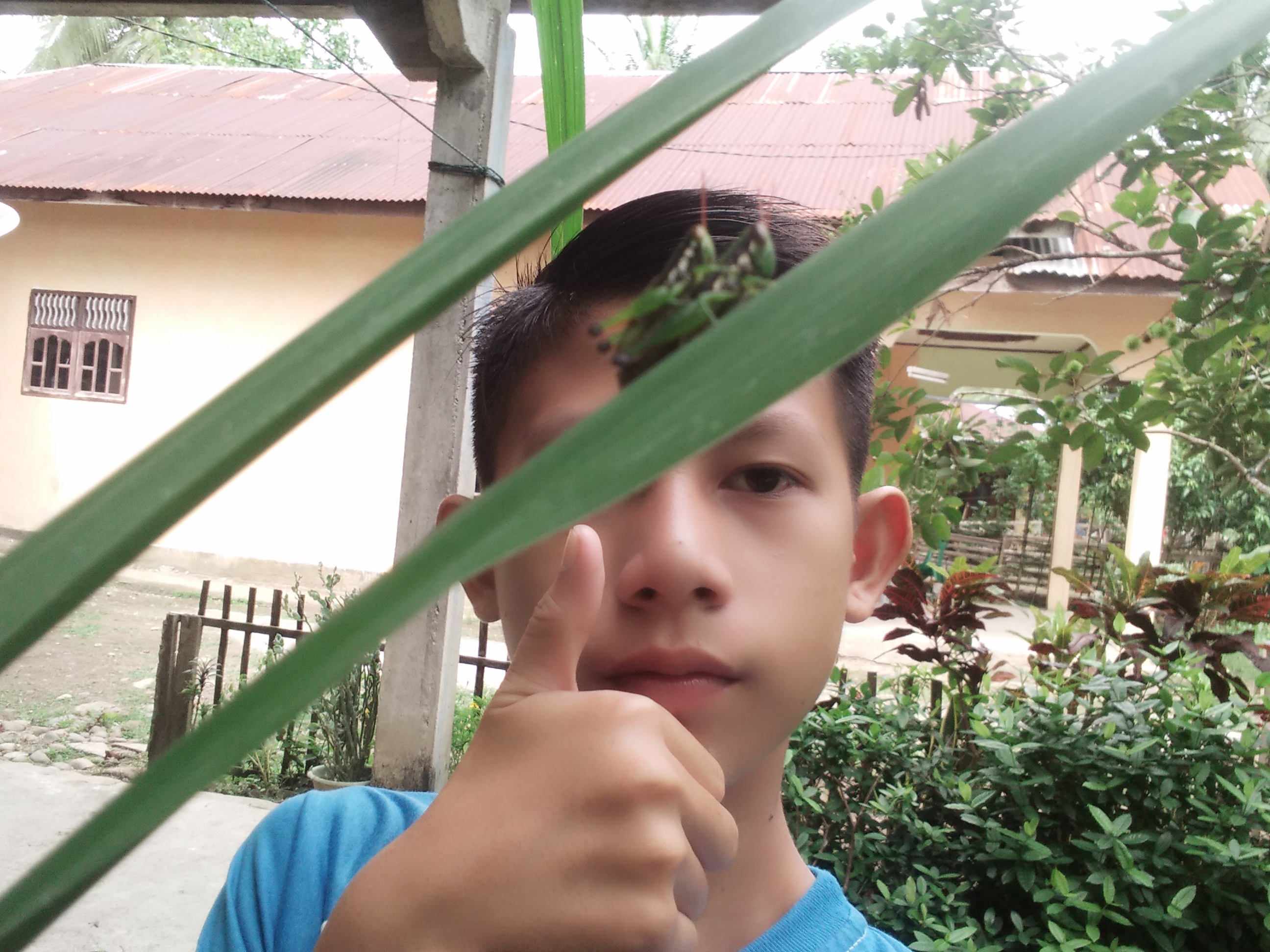 IMG20180619103538.jpg