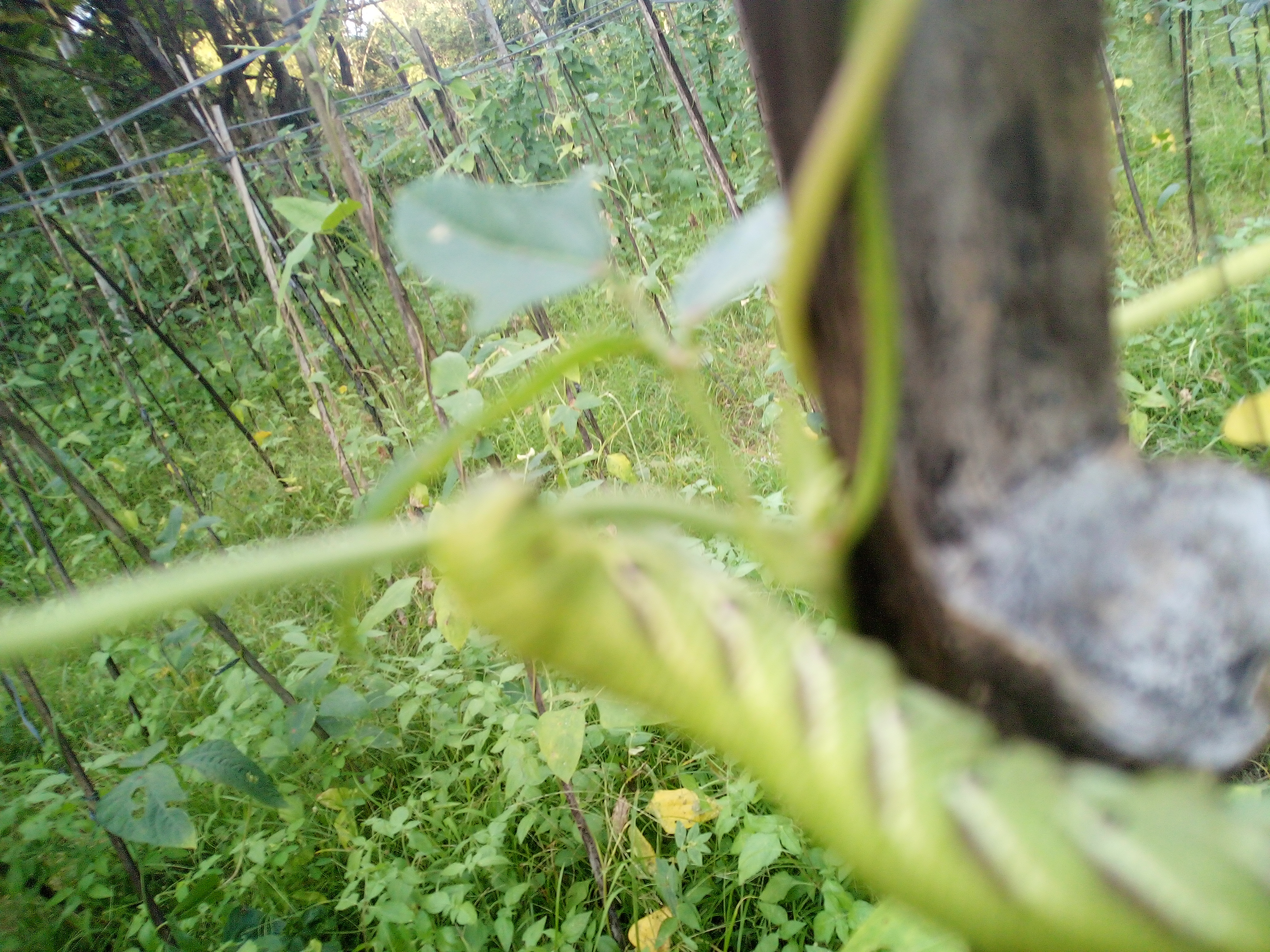 IMG_20211229_173405.jpg