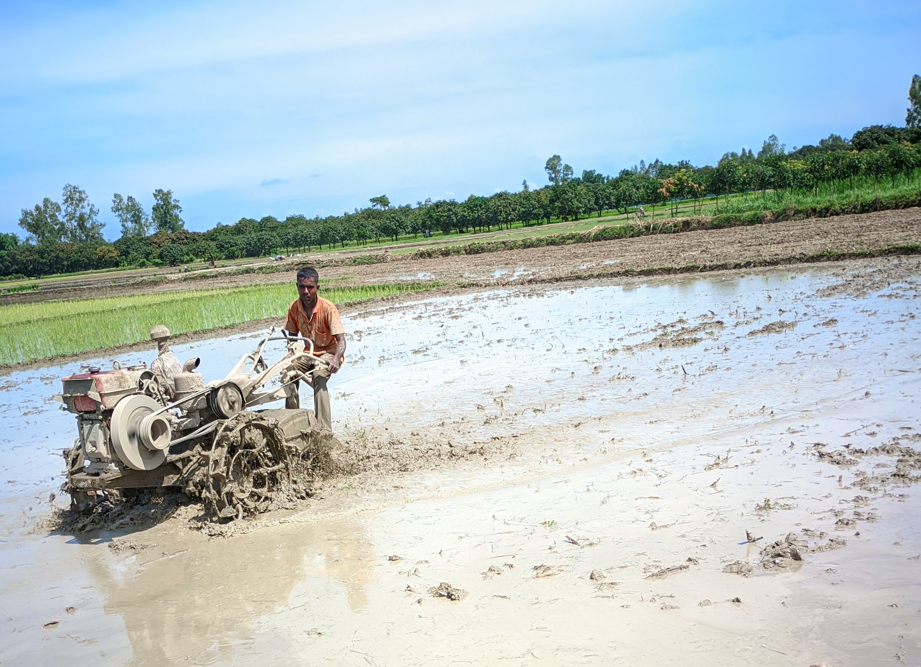 LMC_20240726_095941_COLOUR-BOOST-v-x-NL-LELIN (1).jpg