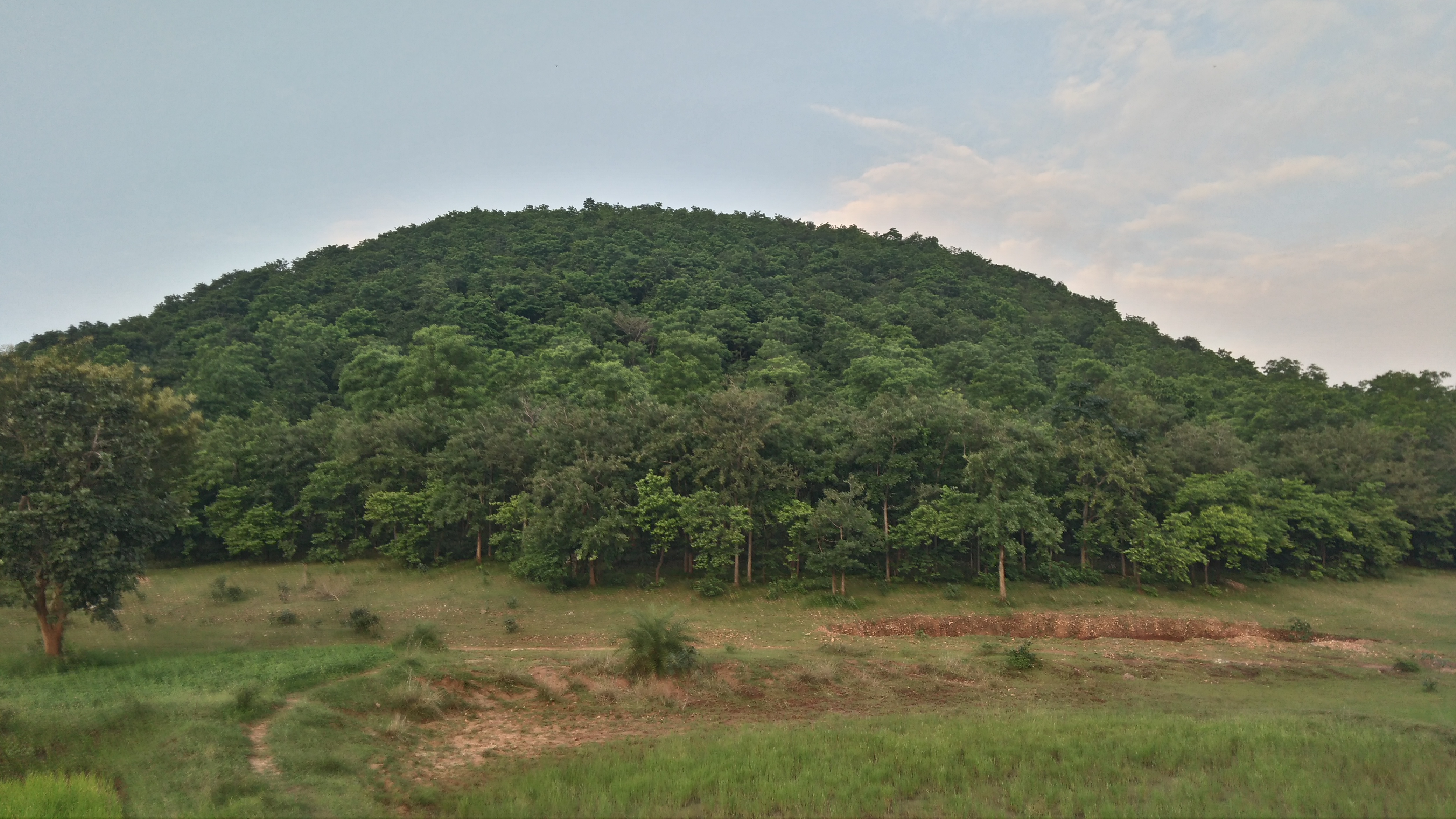 **VILLAGE LIFE PHOTOGRAPHY**