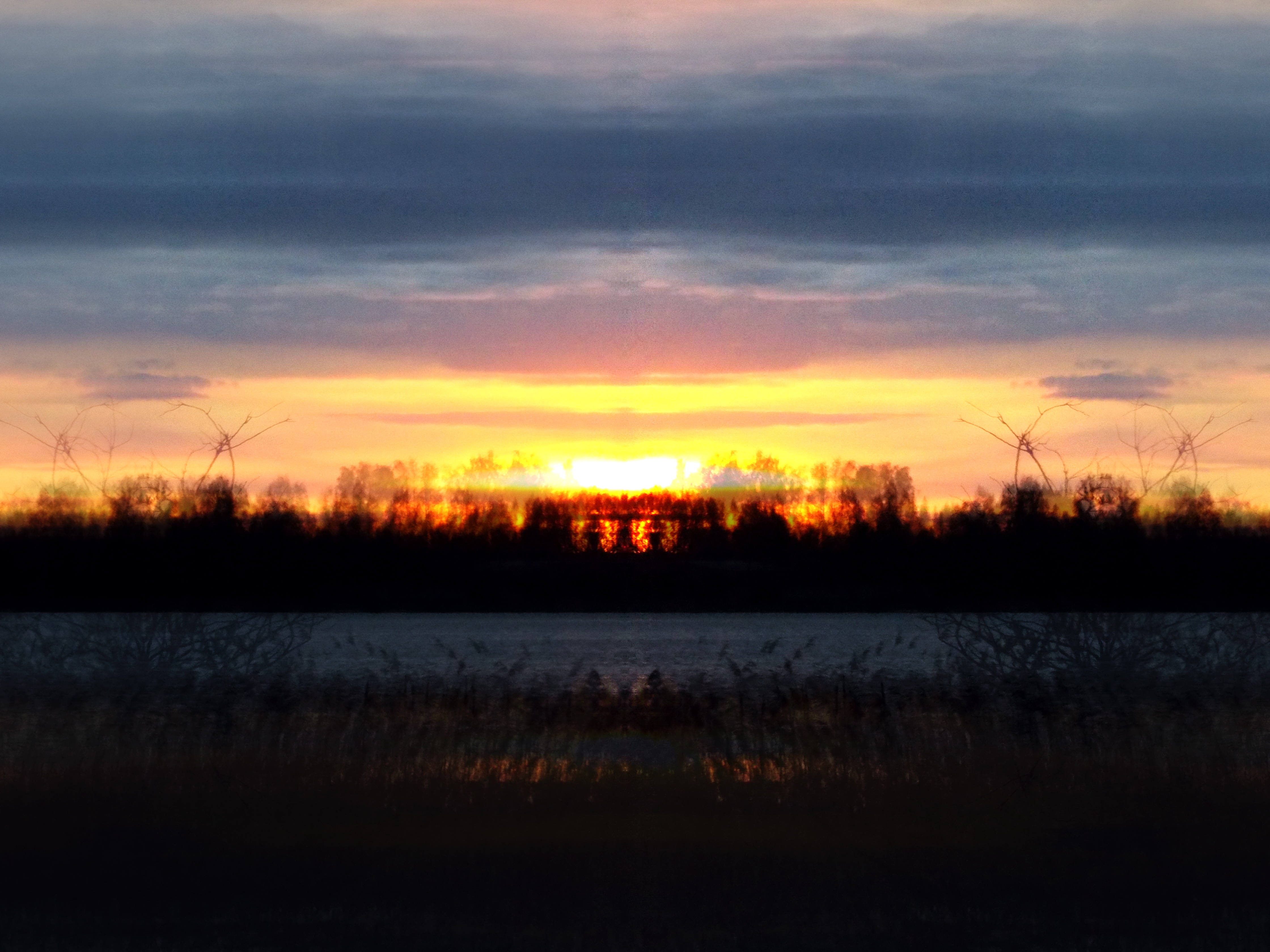 DSCN0366--.JPG