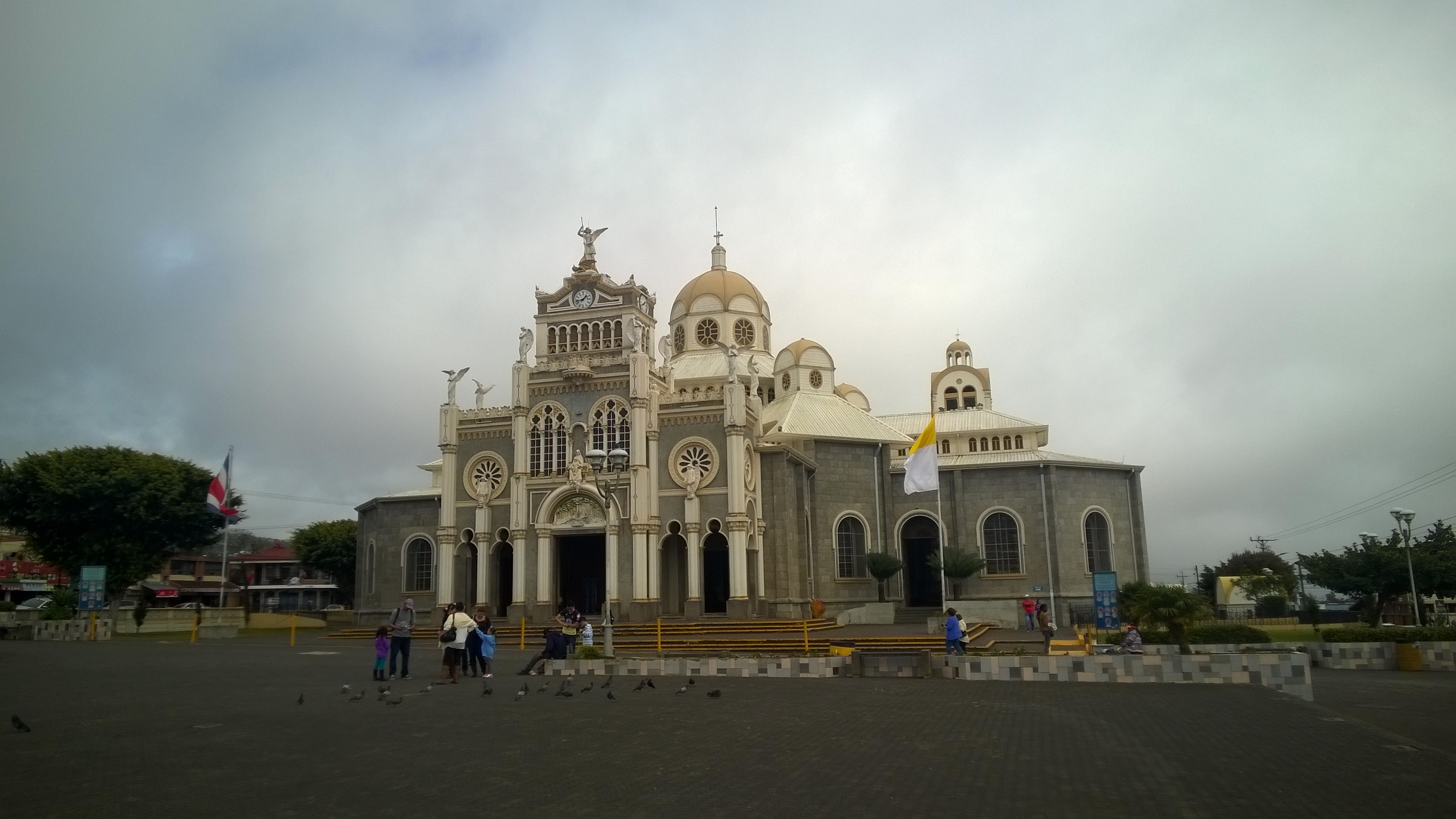 WP_20180309_001.jpg