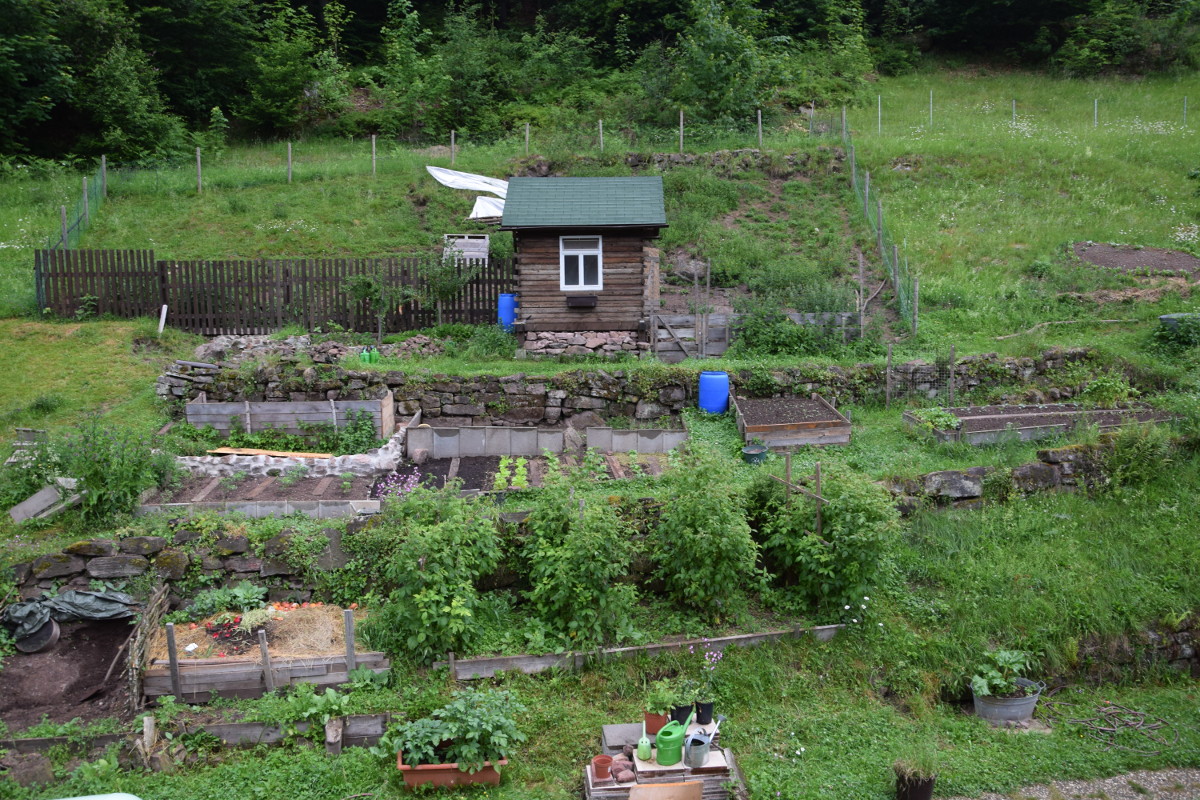 DSC_0003_1200.JPG