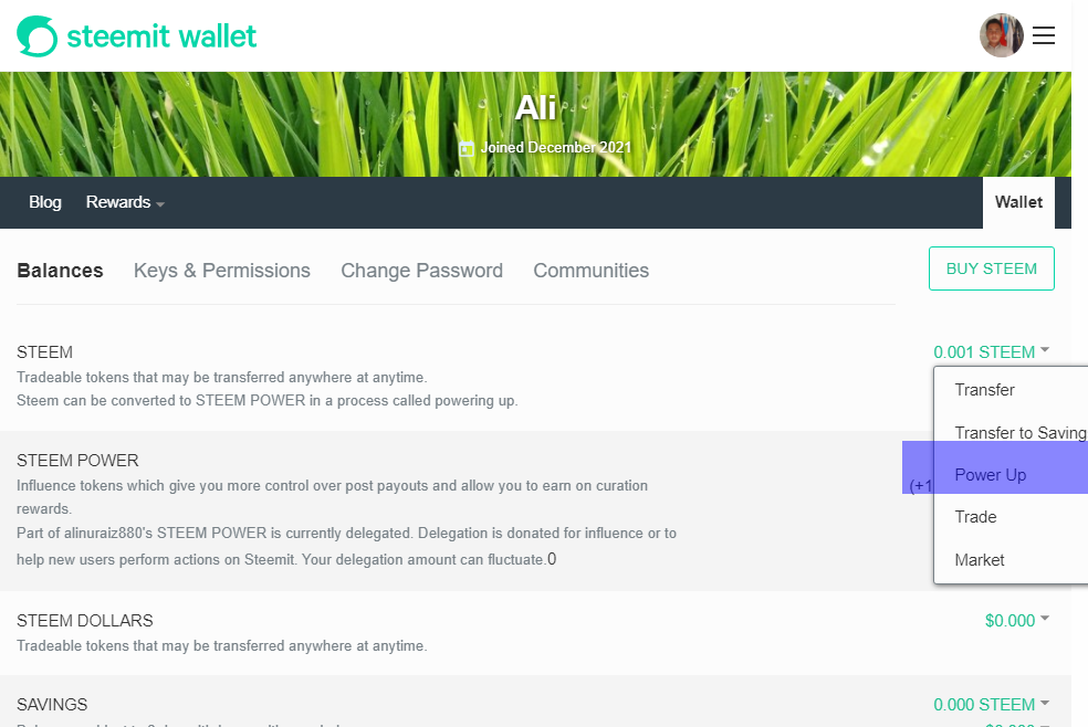 Opera Snapshot_2022-01-22_152012_steemitwallet.com.png