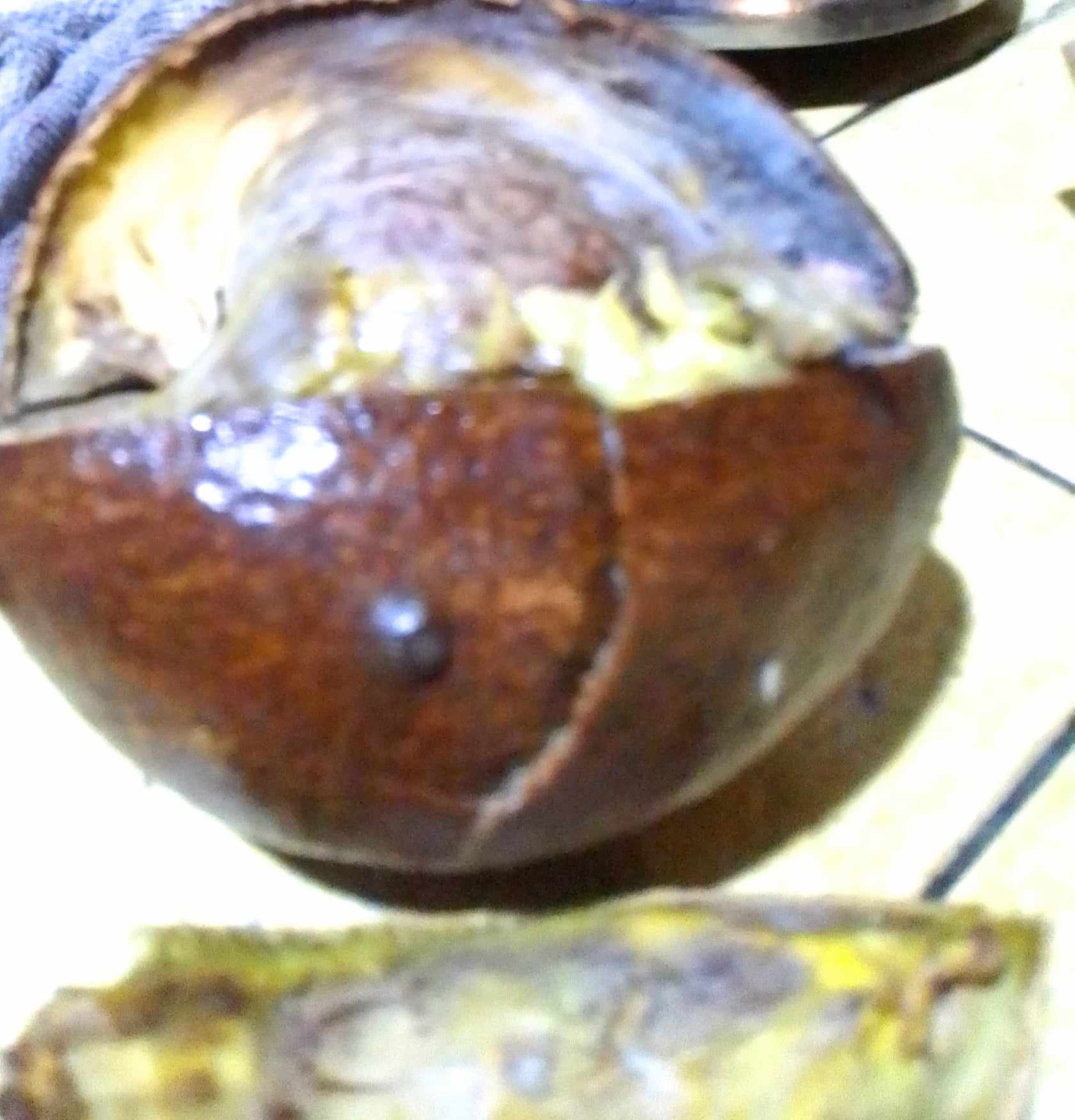 agu5.jpg
