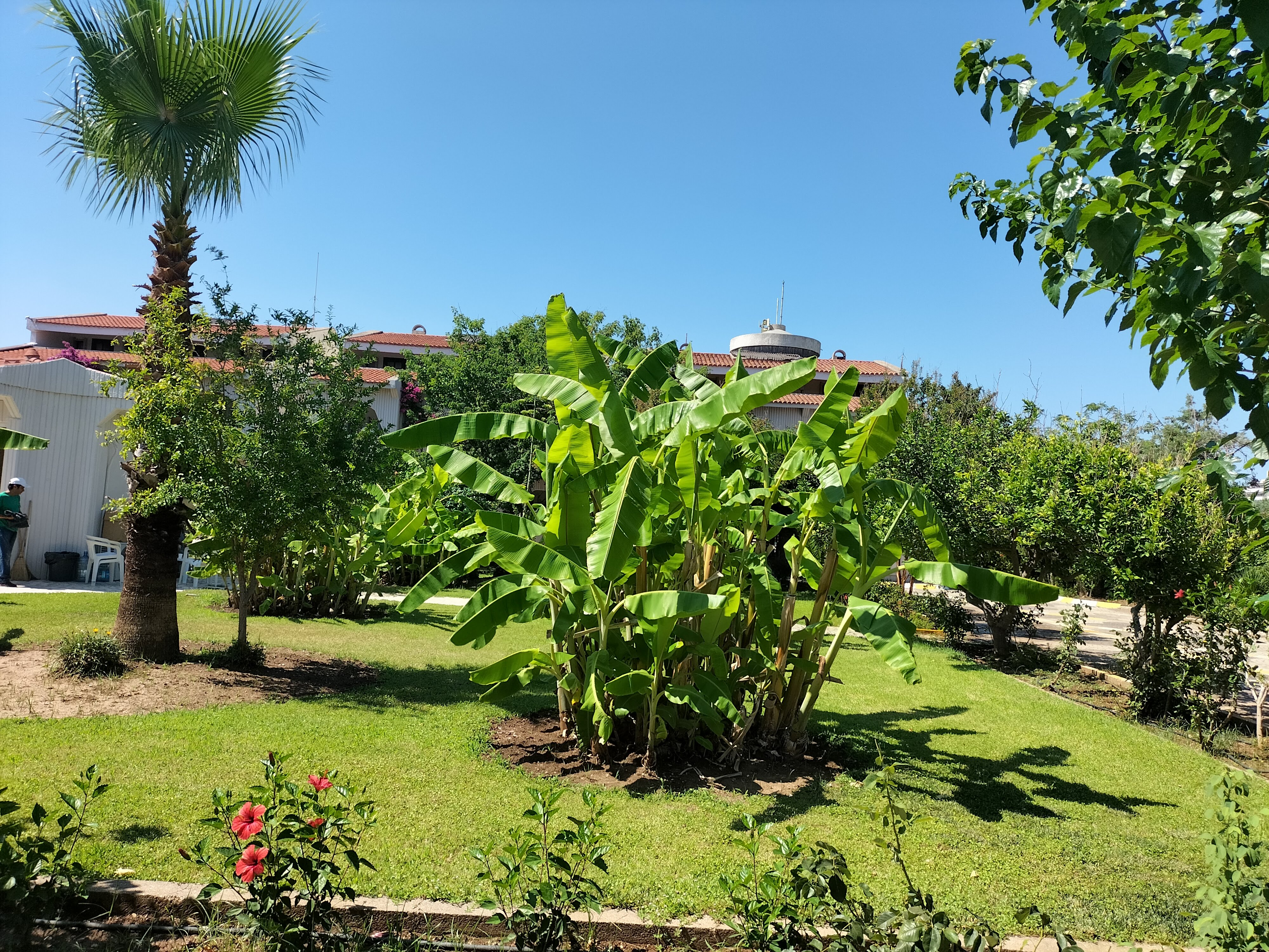 IMG20220702151824.jpg