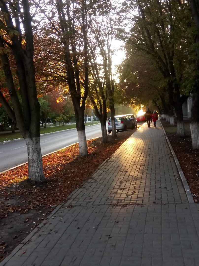 Осень в белгороде фото