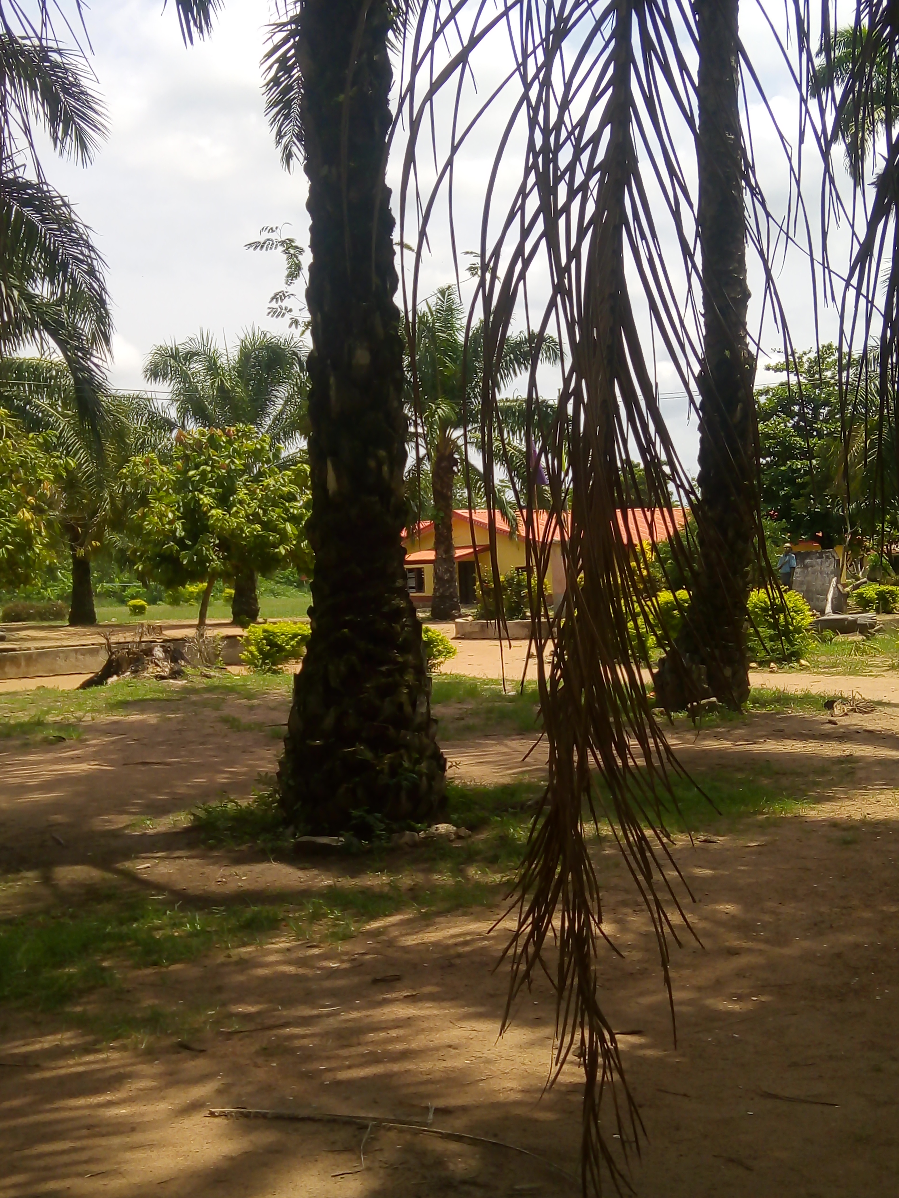 IMG_20210613_123310.jpg
