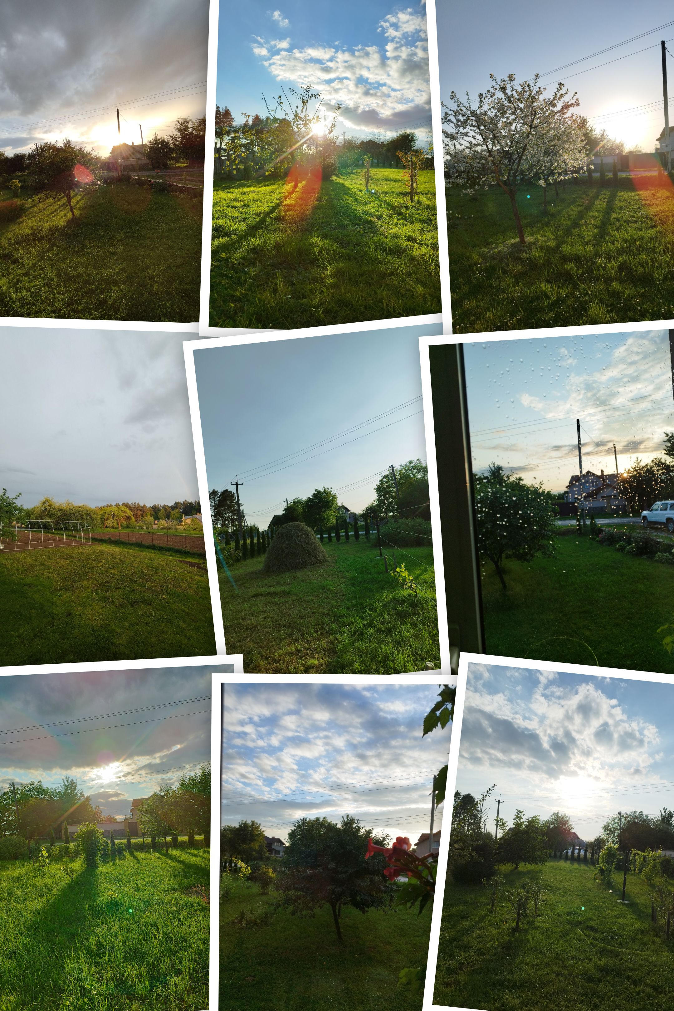 IMG_20240724_200619-COLLAGE.jpg