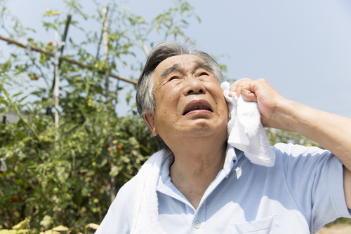 shutterstock_322906667.jpg