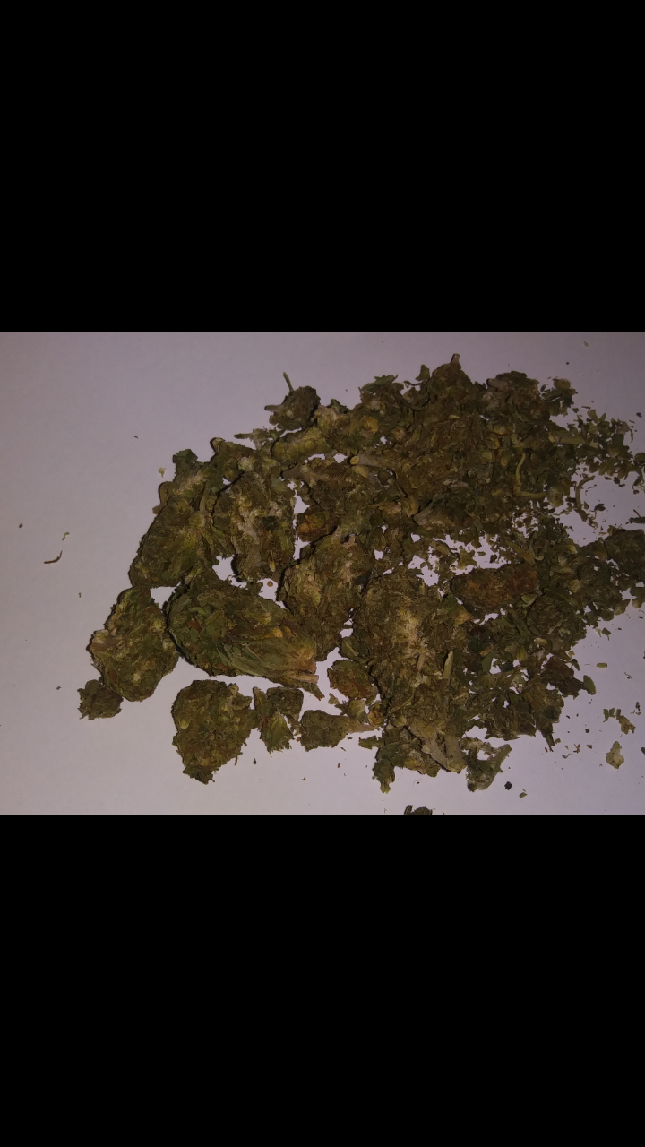 Picked Up Some Reggie Today Smoke Read the latest headlines, news stories, and opinion from politics, entertainment, life, perspectives, and more. picked up some reggie today smoke