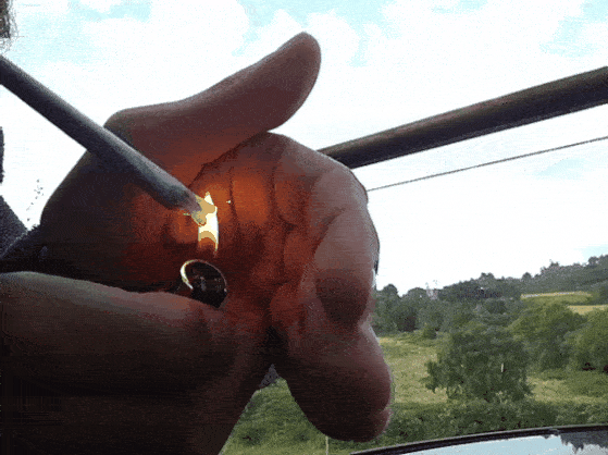 20190824_075819.gif