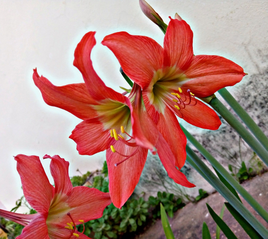PicsArt_05-28-10.49.51.jpg