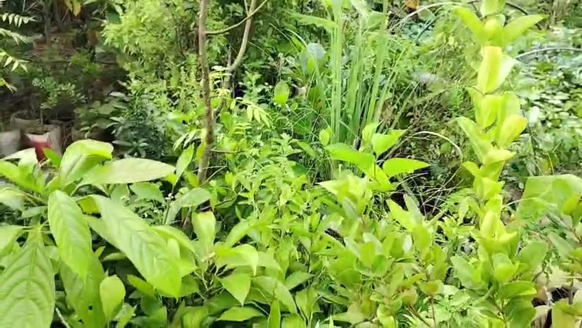 VideoCapture_20260816-201649.jpg